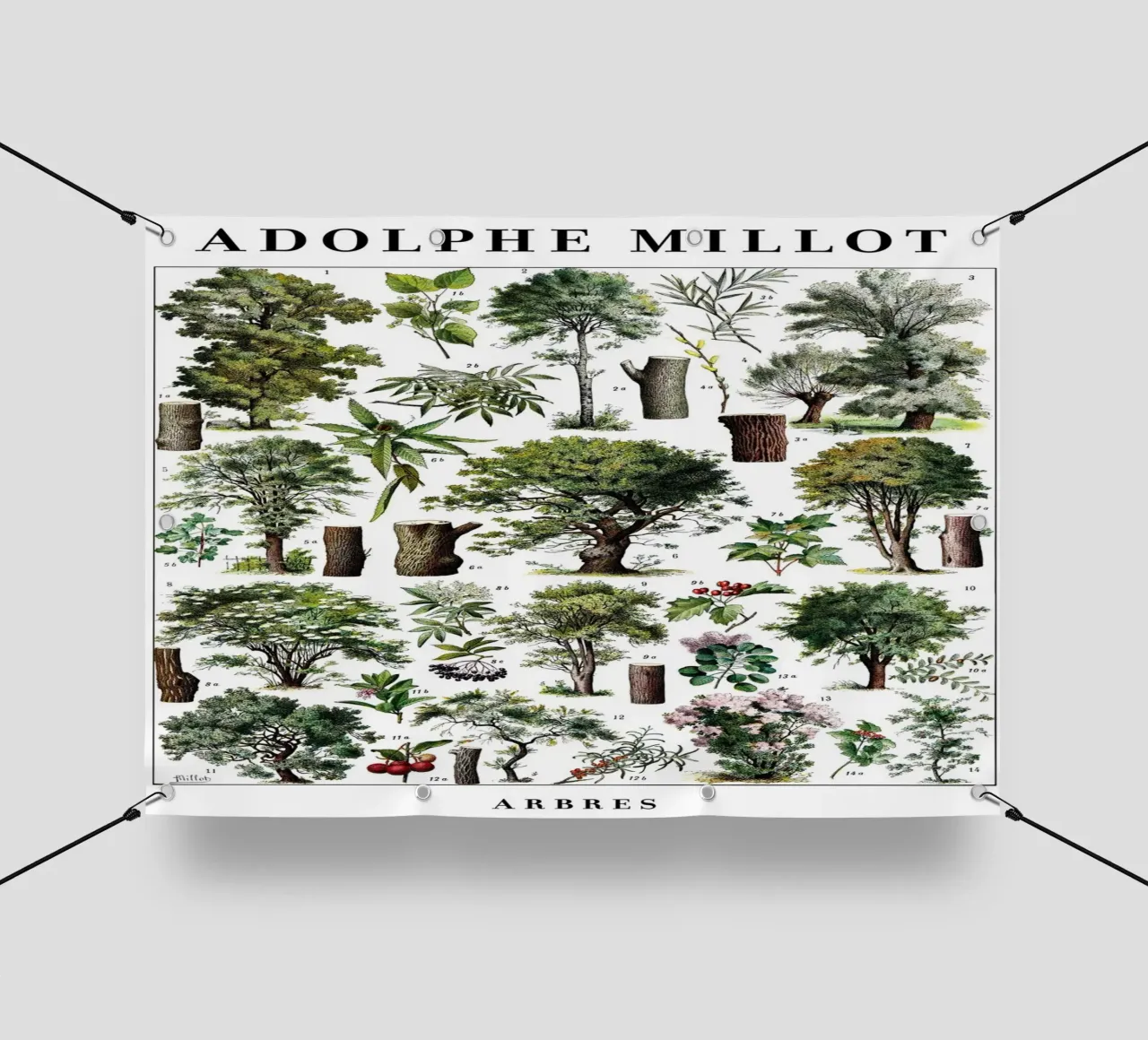 Alberi telo in pvc da Rob Lewis
