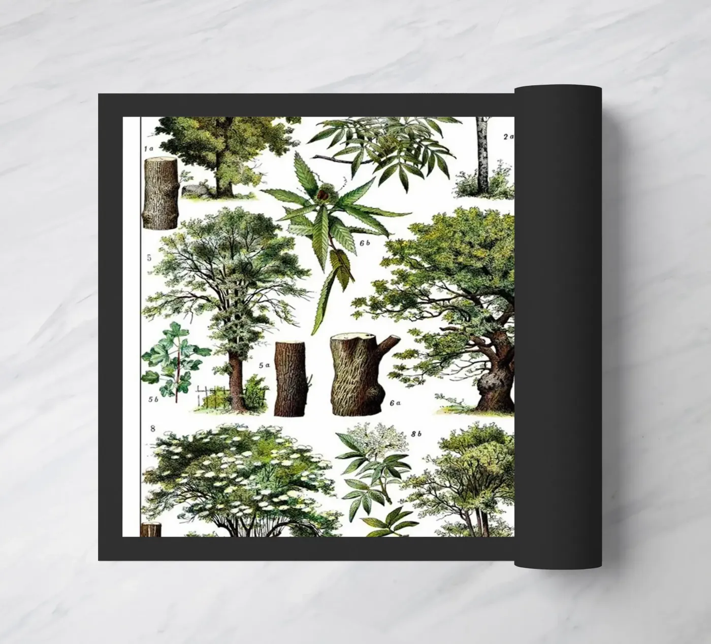 Trees doormat by Rob Lewis