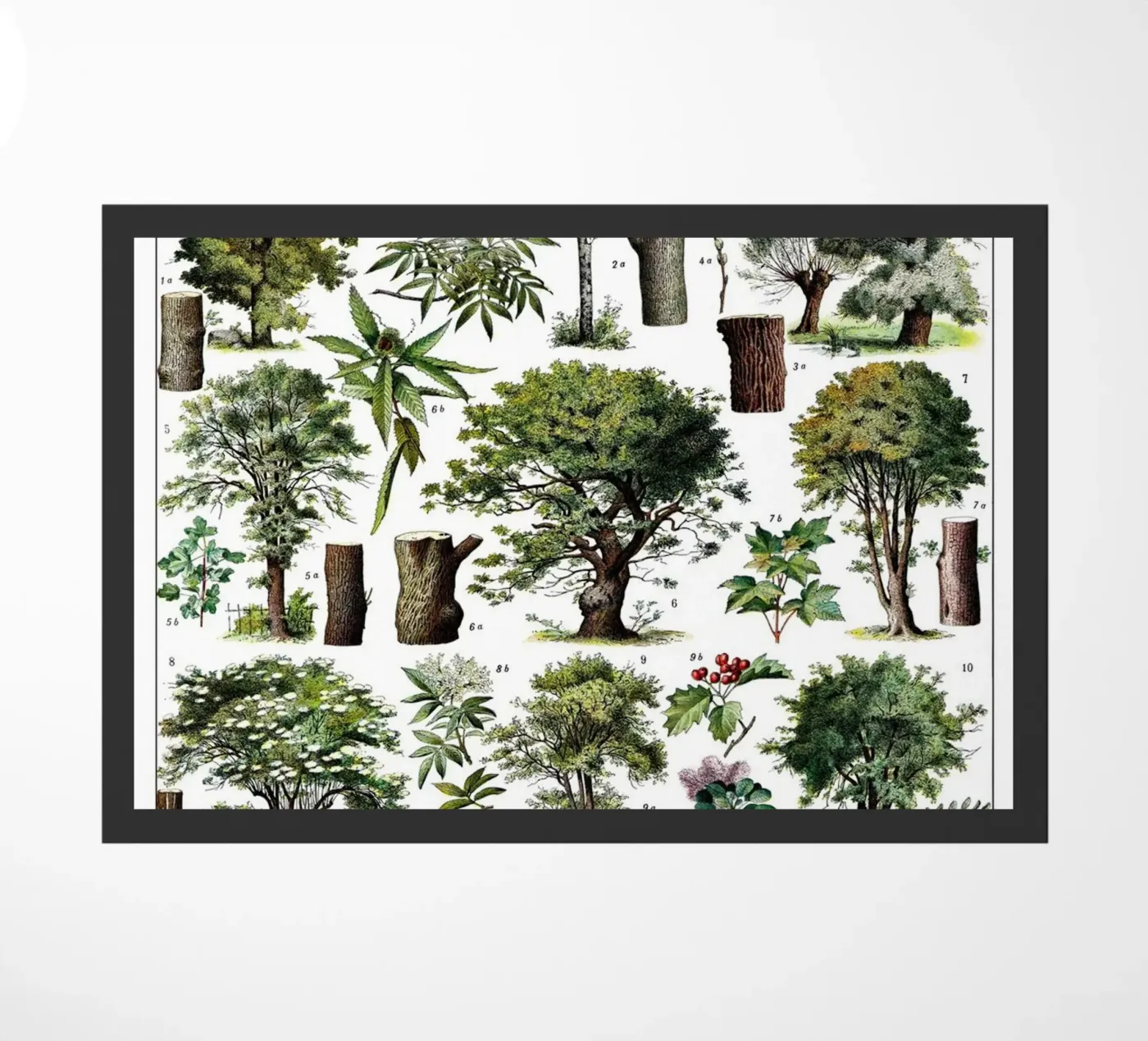 Trees doormat by Rob Lewis