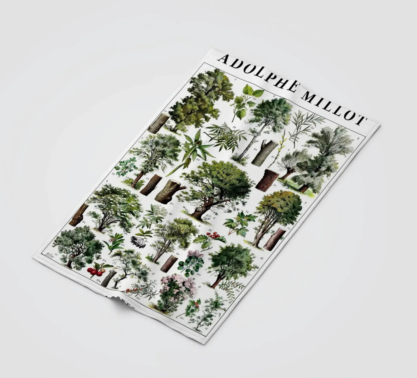 Alberi coperta in pile da Rob Lewis