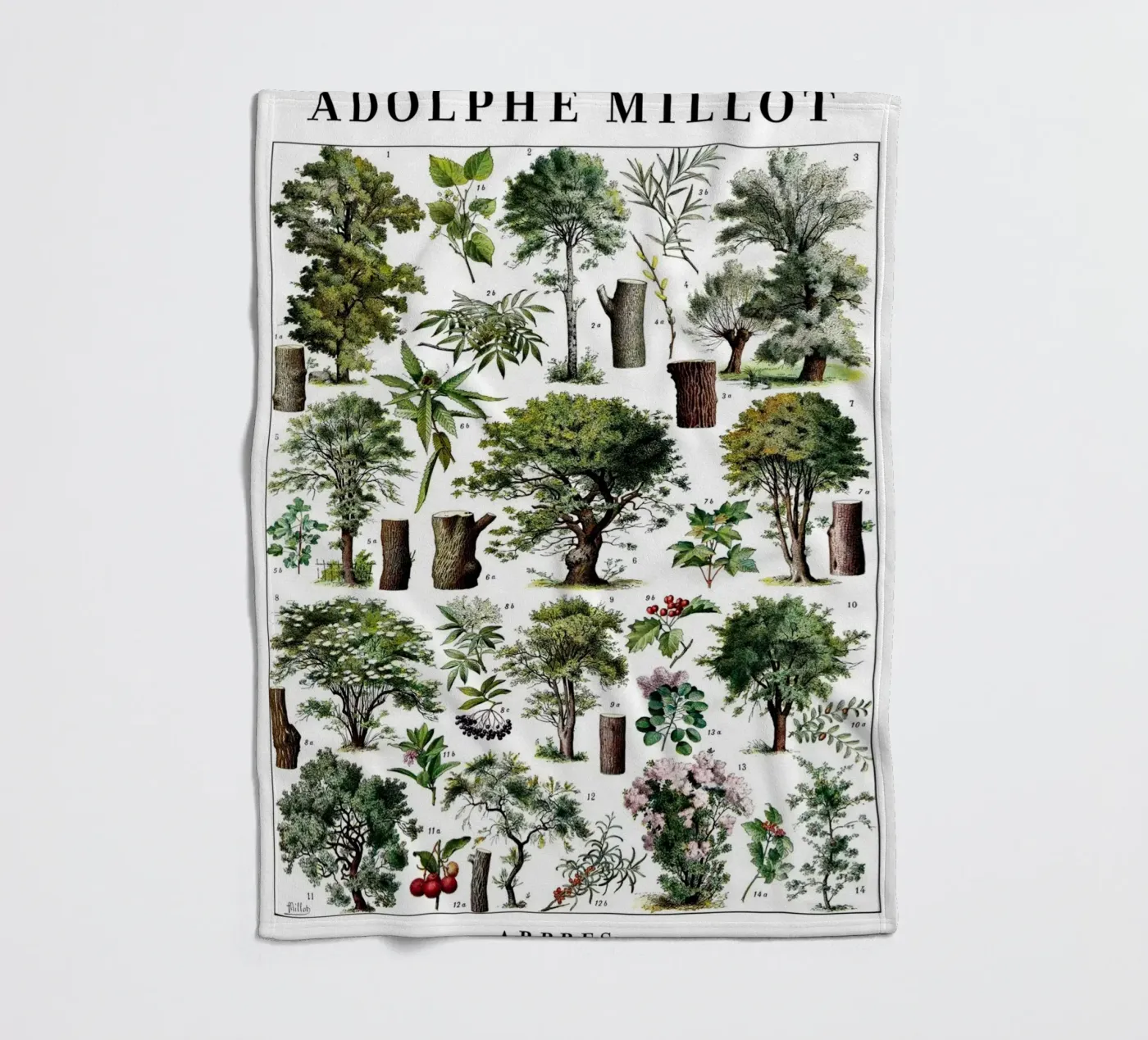 Alberi coperta in pile da Rob Lewis