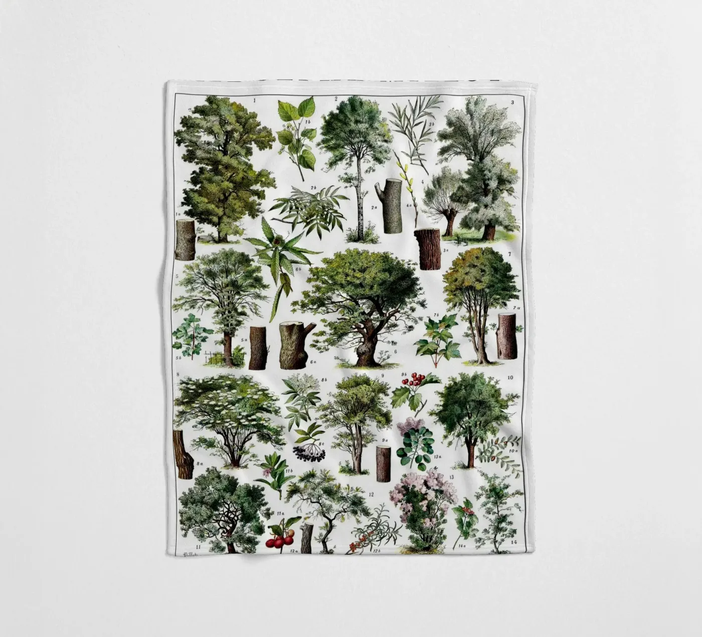 Alberi coperta in pile da Rob Lewis