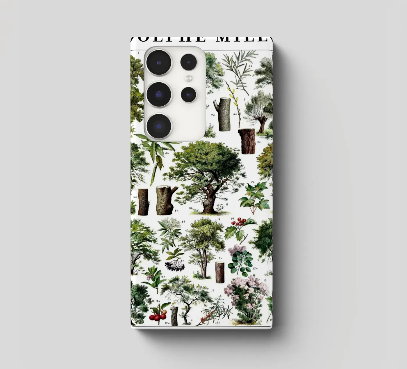 Alberi cover samsung da Rob Lewis