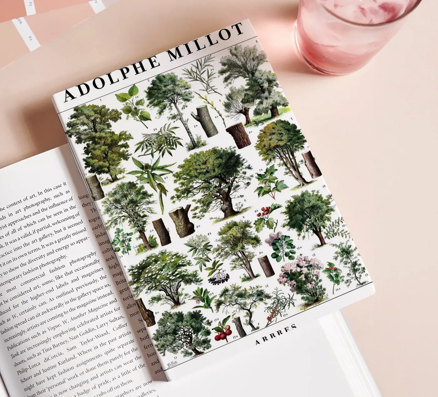 Trees notebook by Rob Lewis