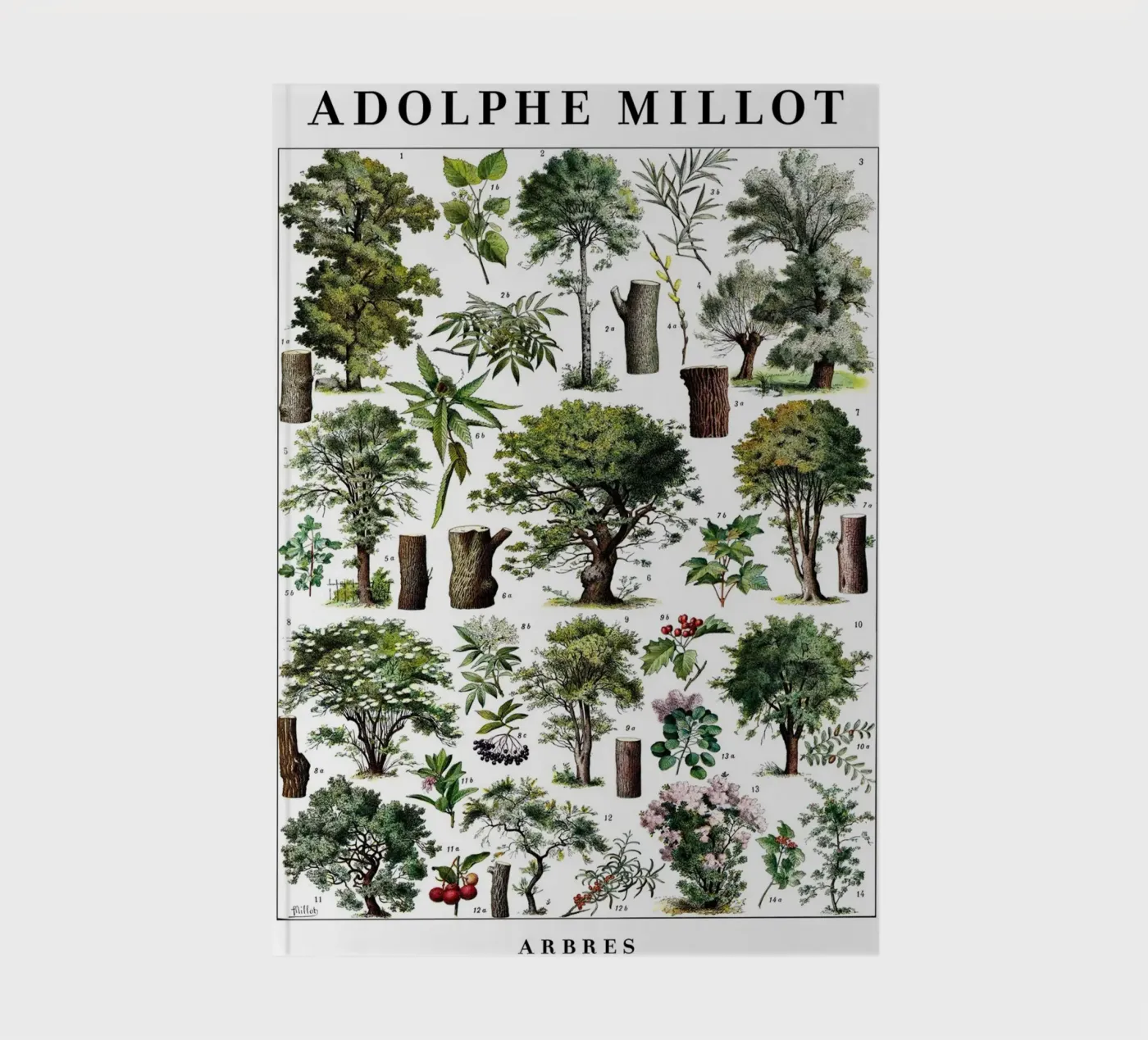 Trees notebook by Rob Lewis