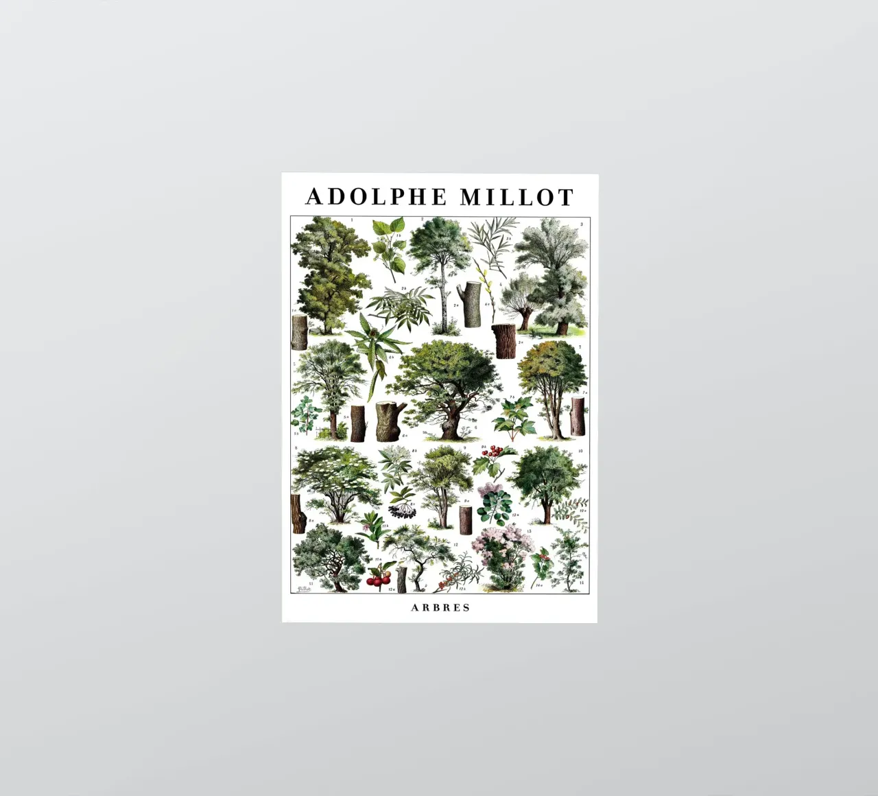 Trees sticker by Rob Lewis