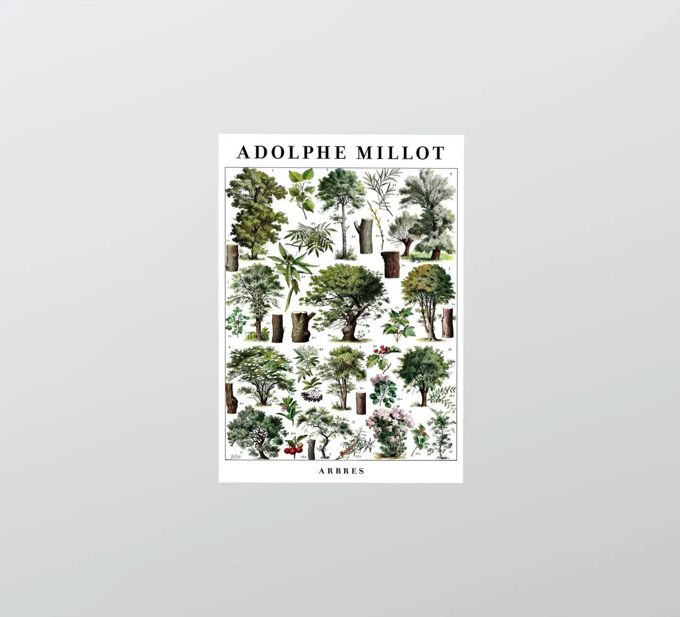 Trees sticker by Rob Lewis