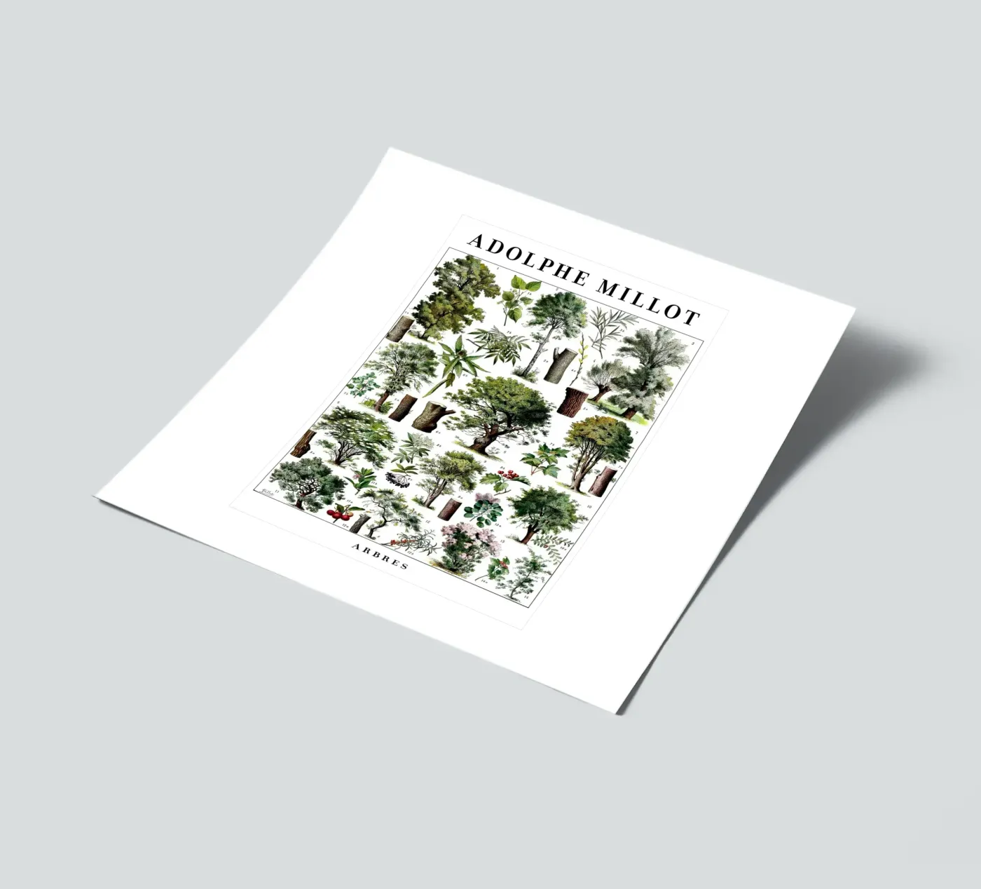 Trees sticker sheet by Rob Lewis