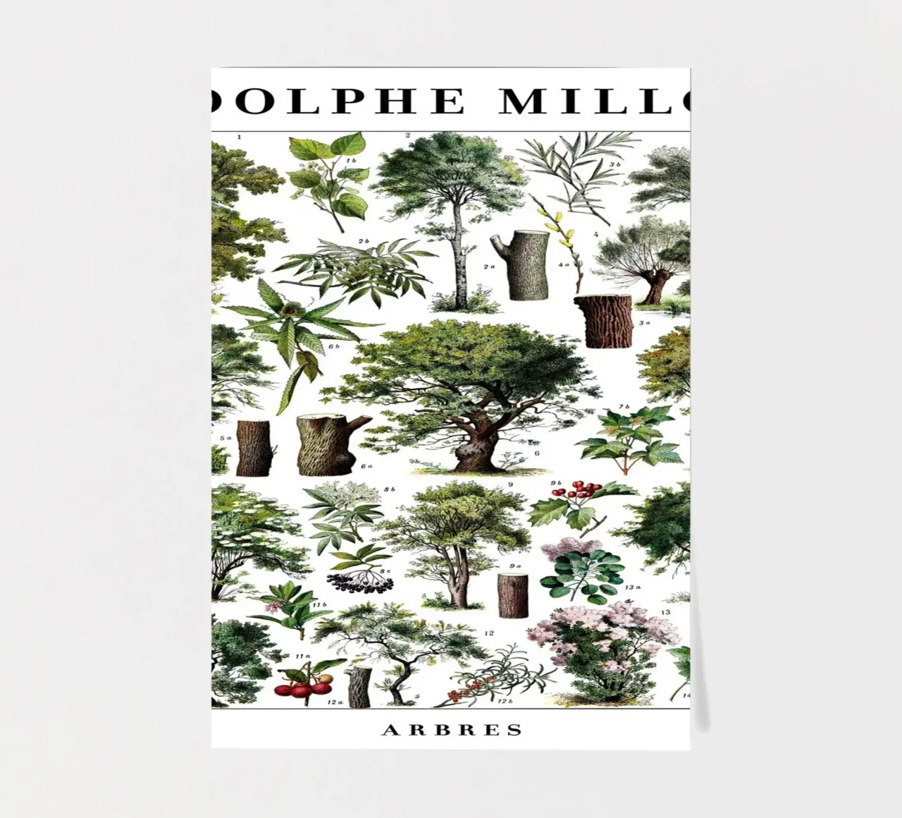 Trees sticker sheet by Rob Lewis