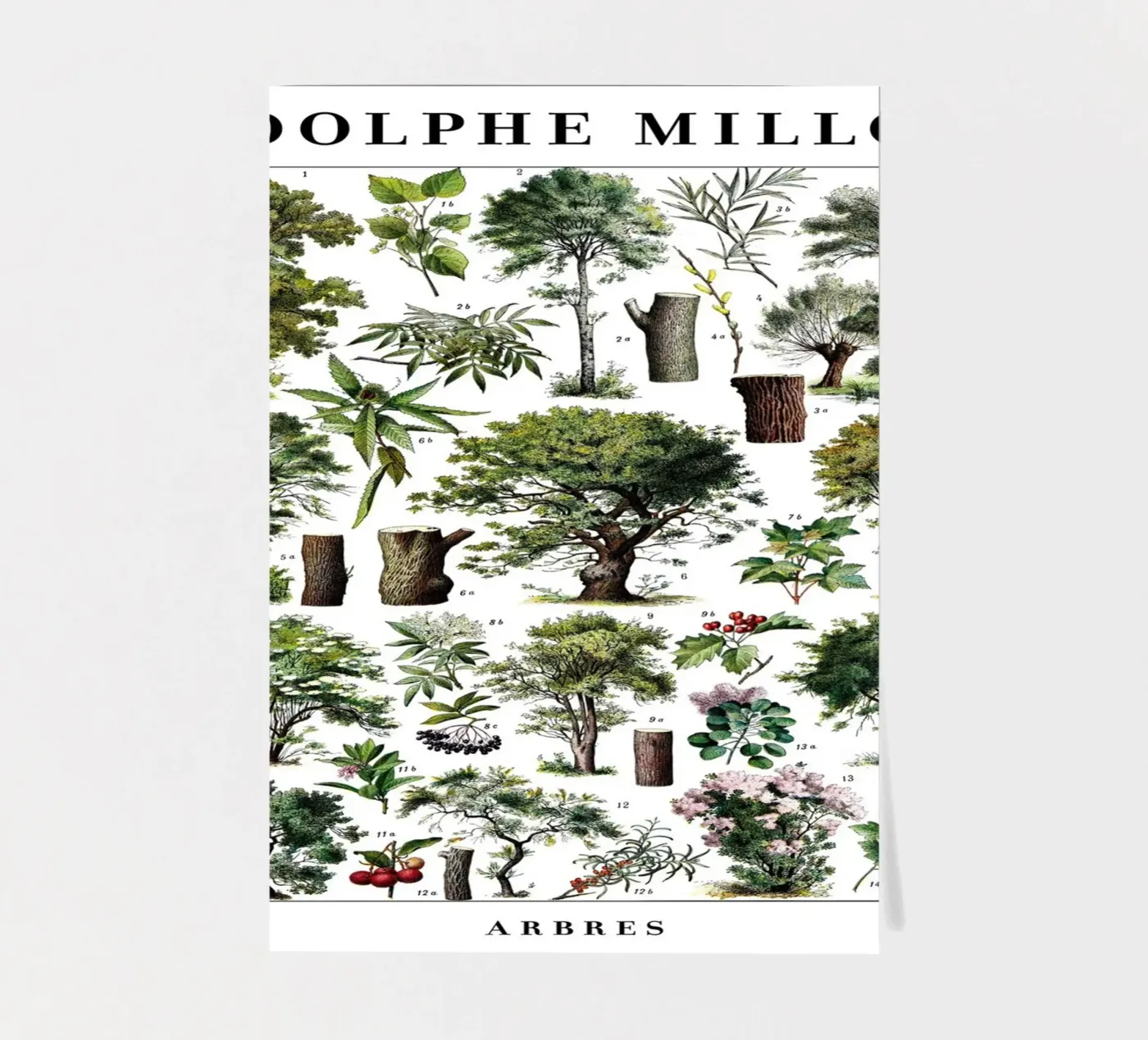 Trees sticker sheet by Rob Lewis