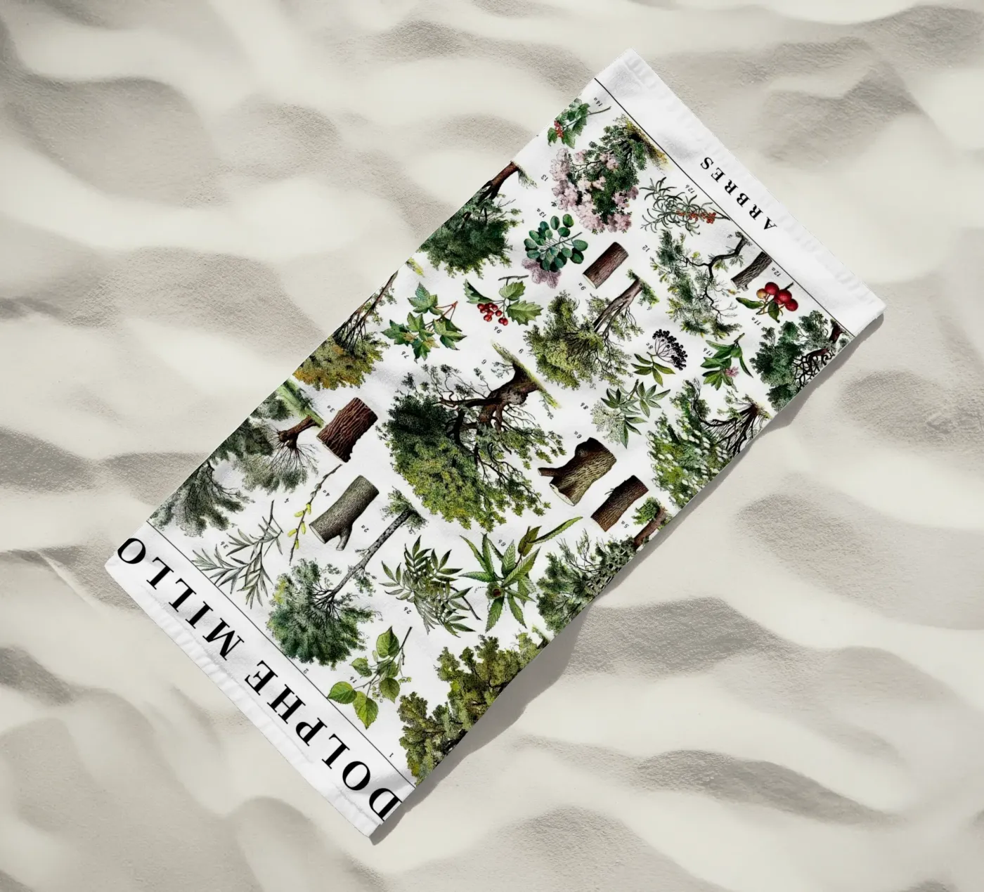 Alberi telo mare da Rob Lewis