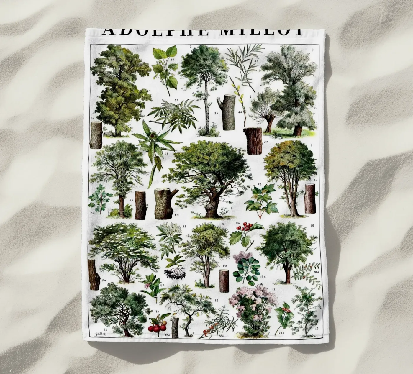 Trees telo mare da Rob Lewis