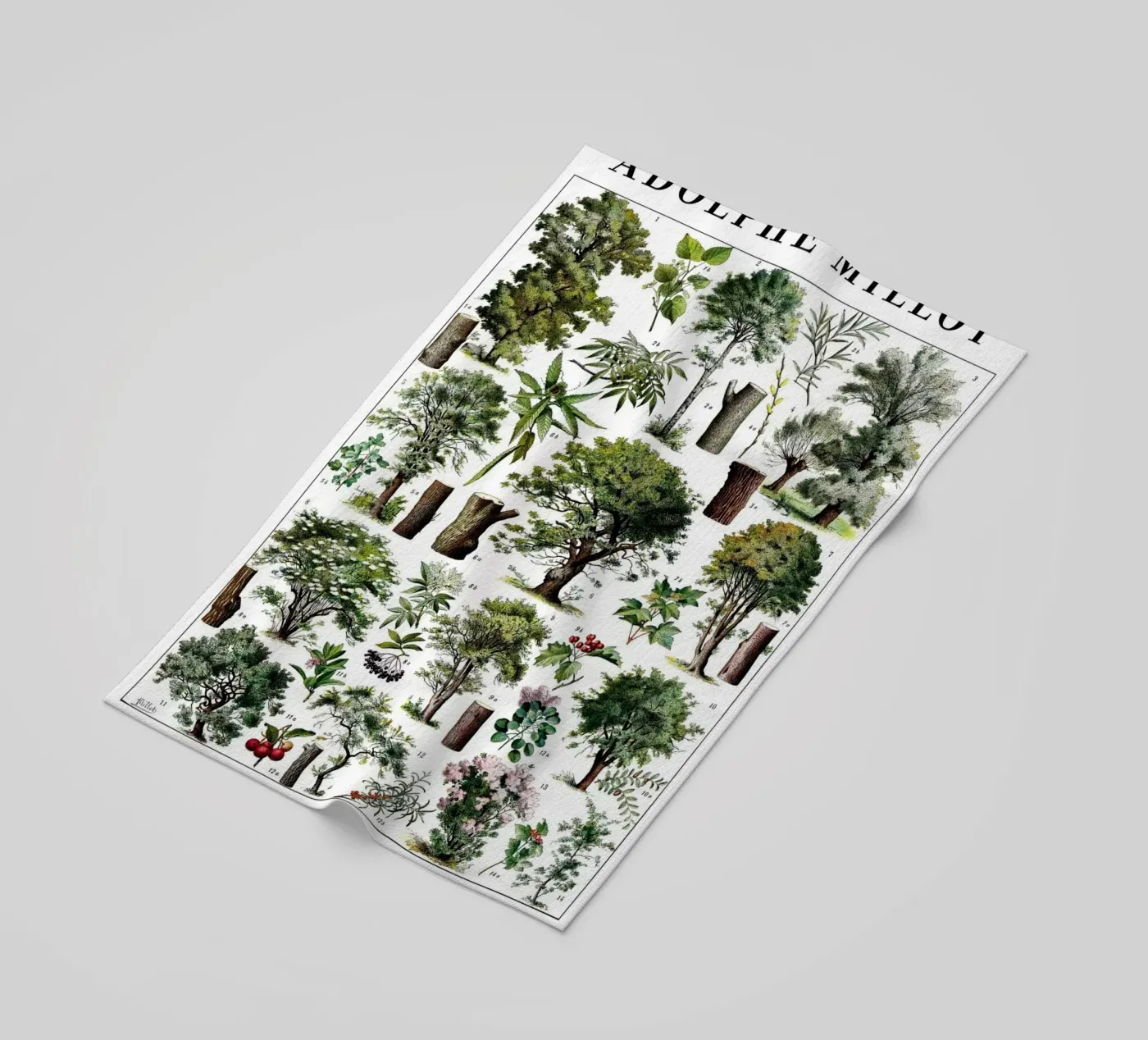 Trees telo mare da Rob Lewis