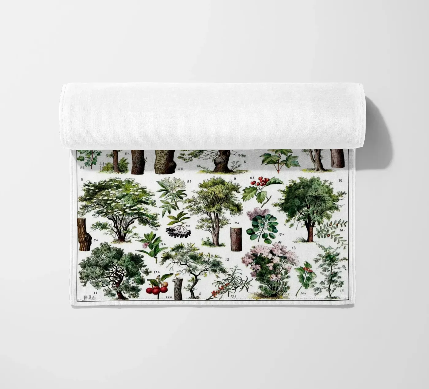 Trees telo mare da Rob Lewis