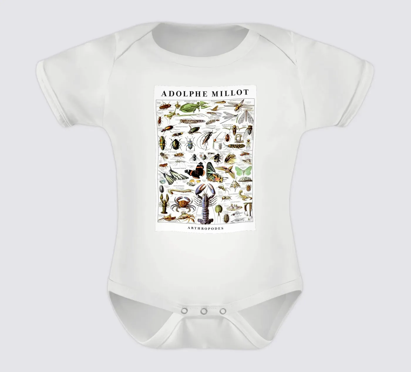 Artropodi body neonato maniche corte da Rob Lewis