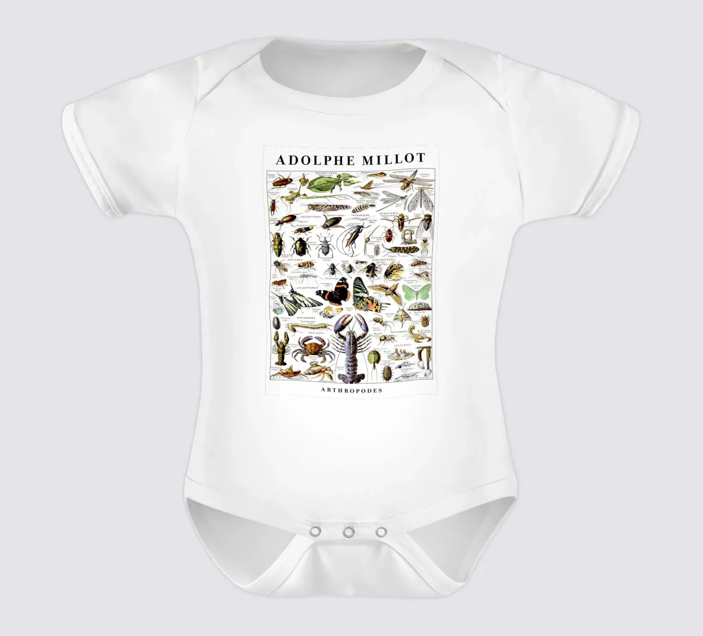 Artropodi body neonato maniche corte da Rob Lewis