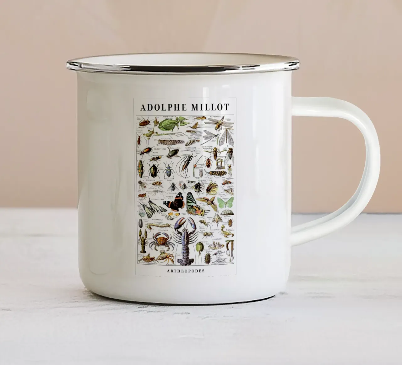 Artropodi tazza in smalto da Rob Lewis