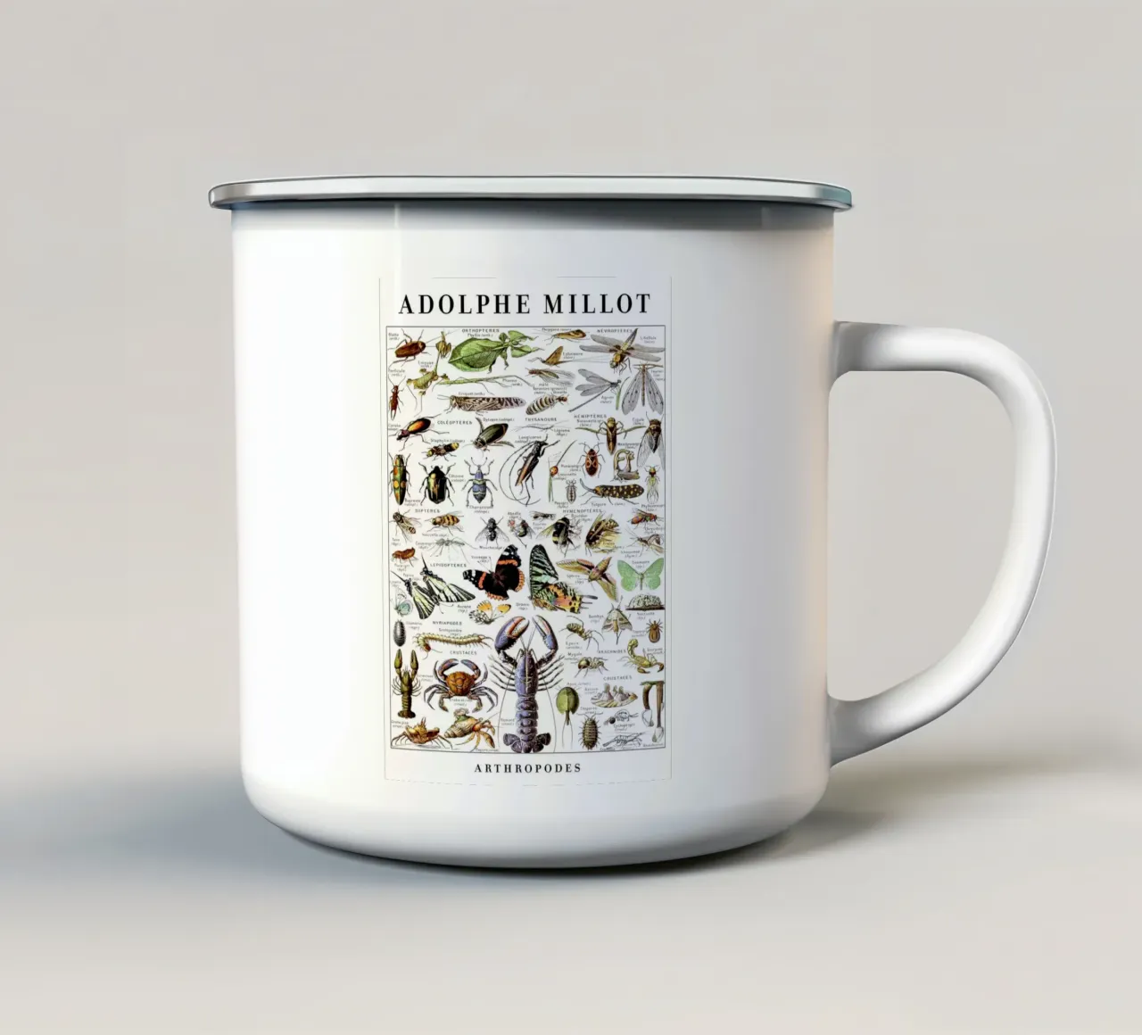 Artropodi tazza in smalto da Rob Lewis