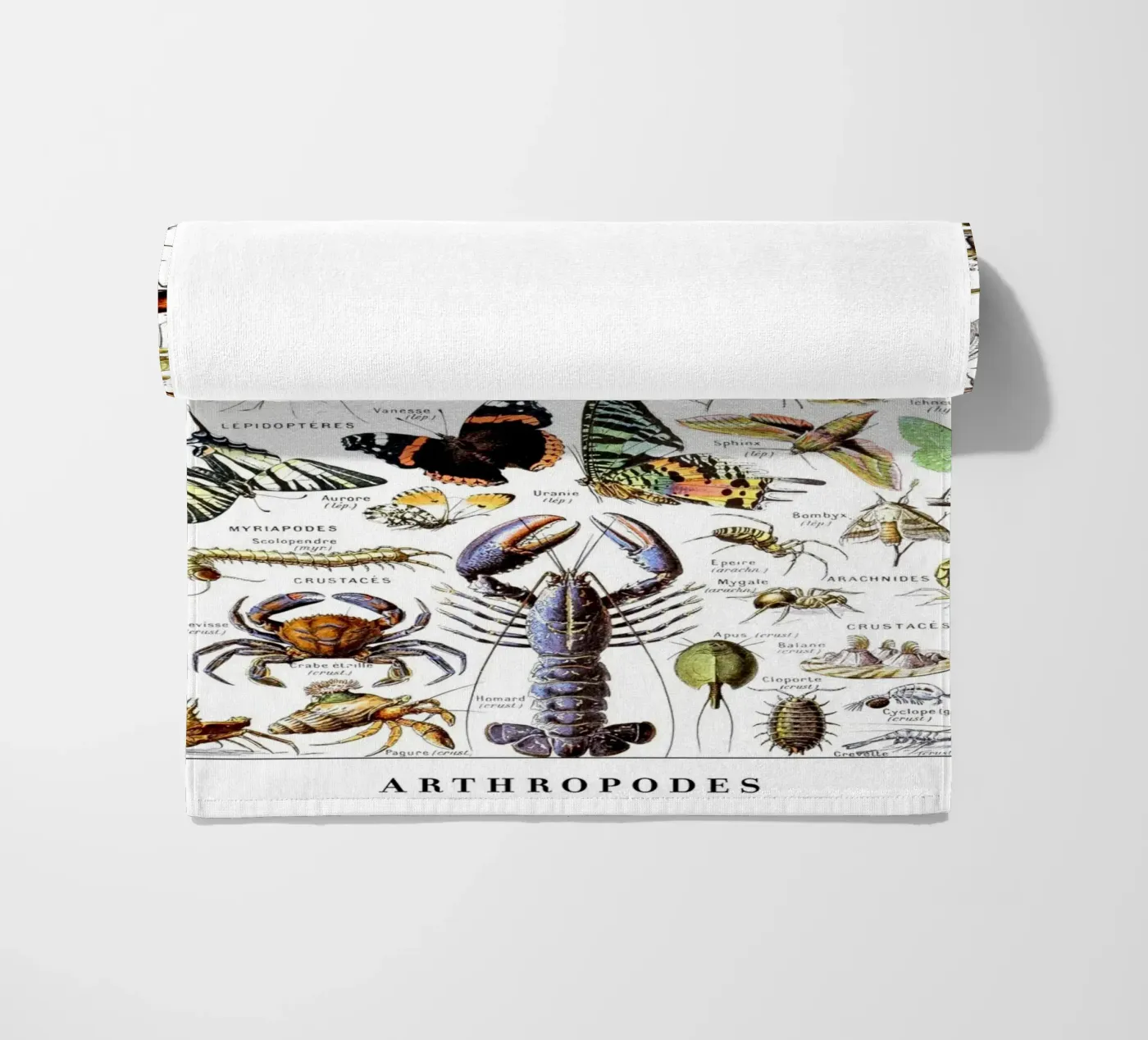 Artropodi telo mare da Rob Lewis