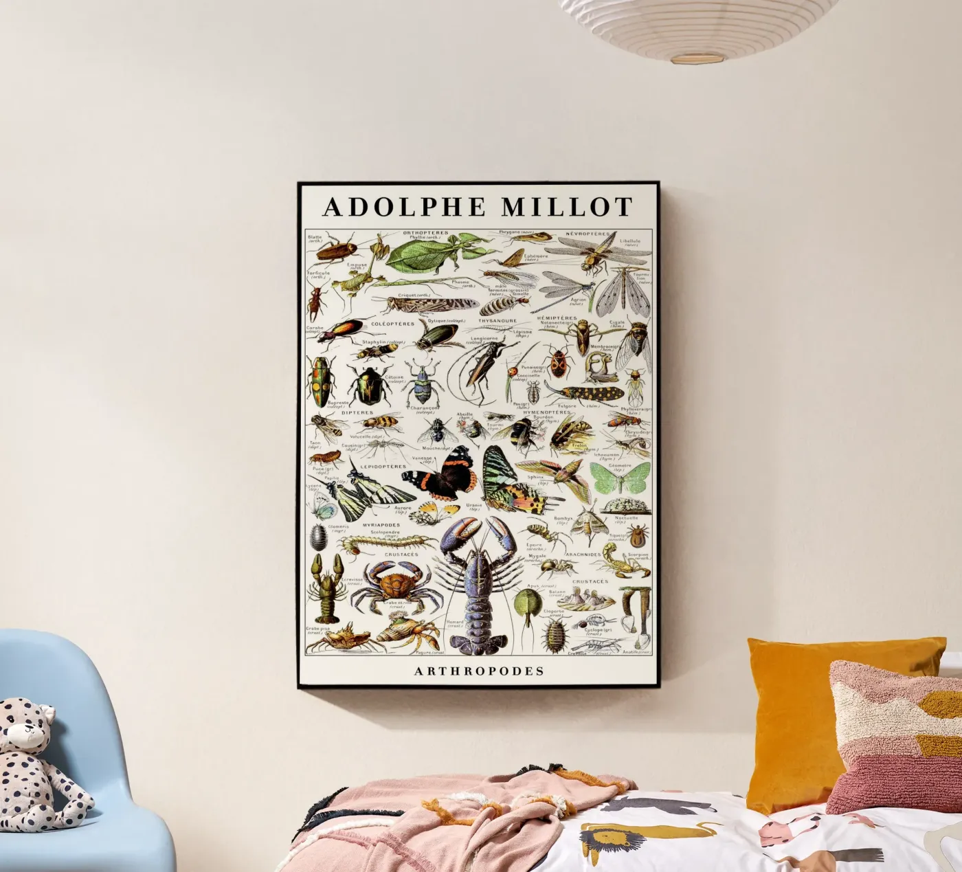 Arthropods plexiglas de Rob Lewis