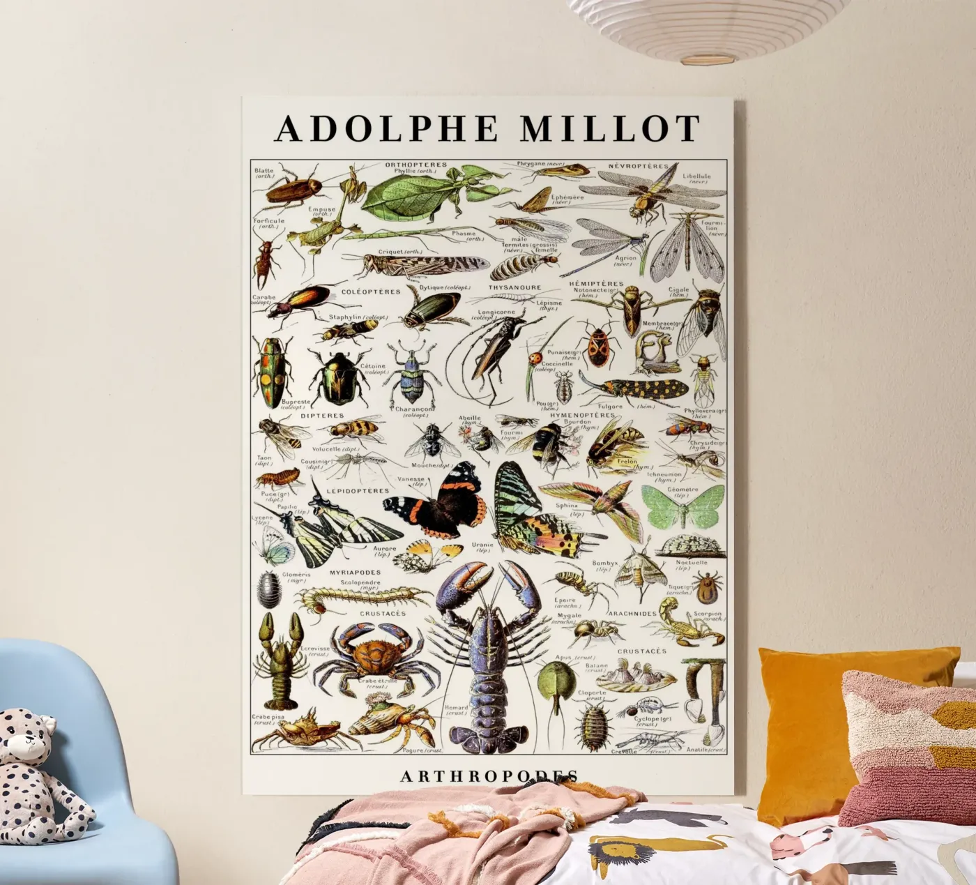 Arthropods plexiglas de Rob Lewis