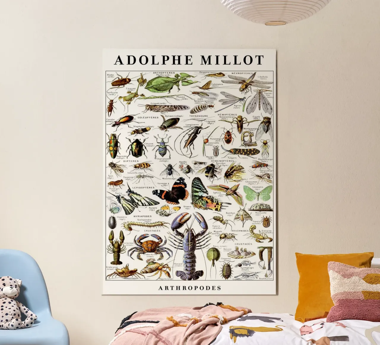 Artropodi poster con telaio in plastica da Rob Lewis