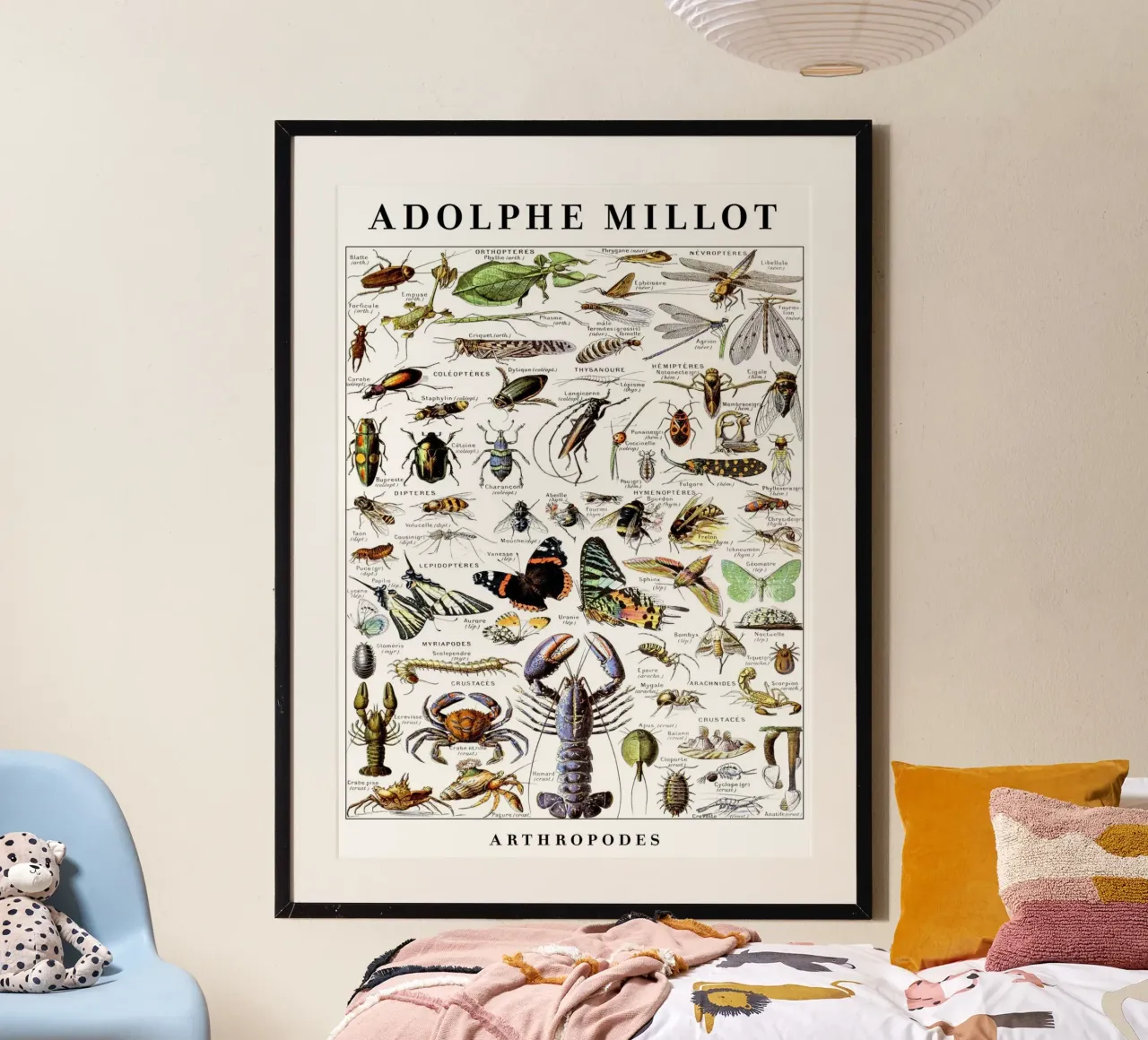 Artropodi poster con telaio in plastica da Rob Lewis