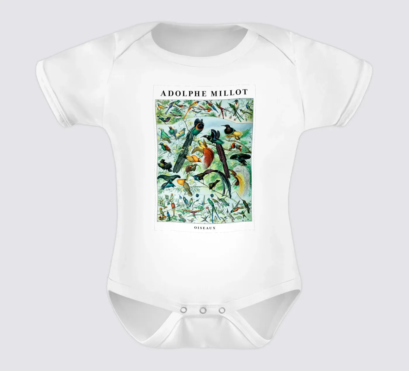 Birds body bébé de Rob Lewis