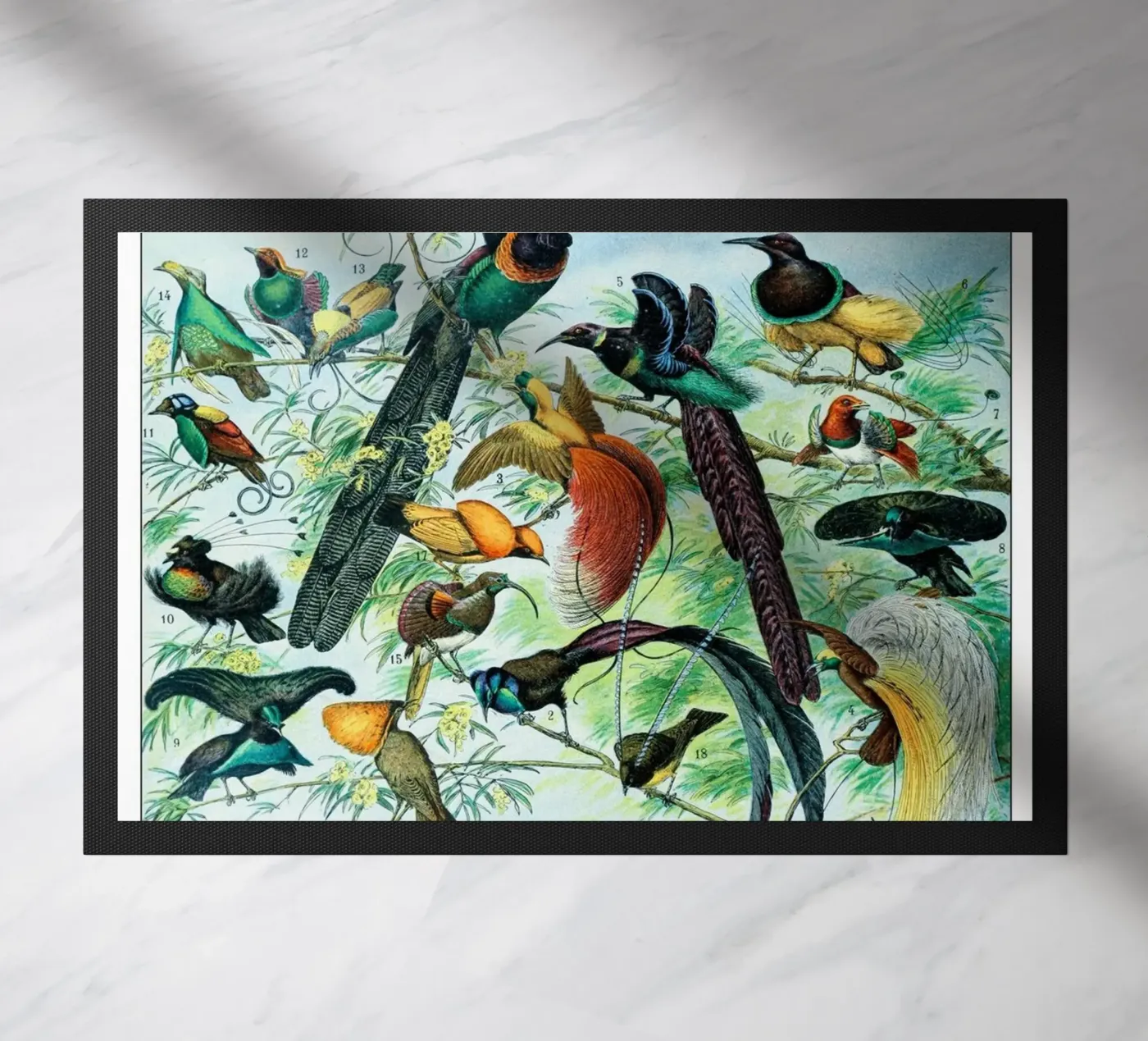 Birds doormat by Rob Lewis