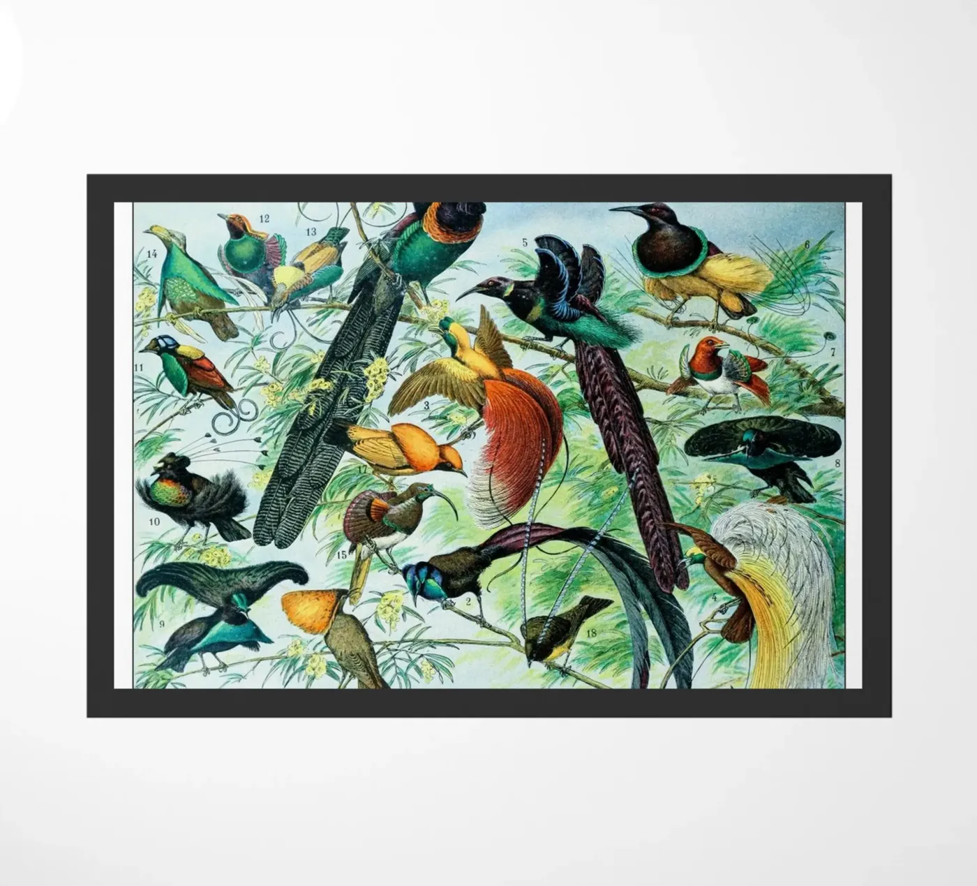 Birds doormat by Rob Lewis