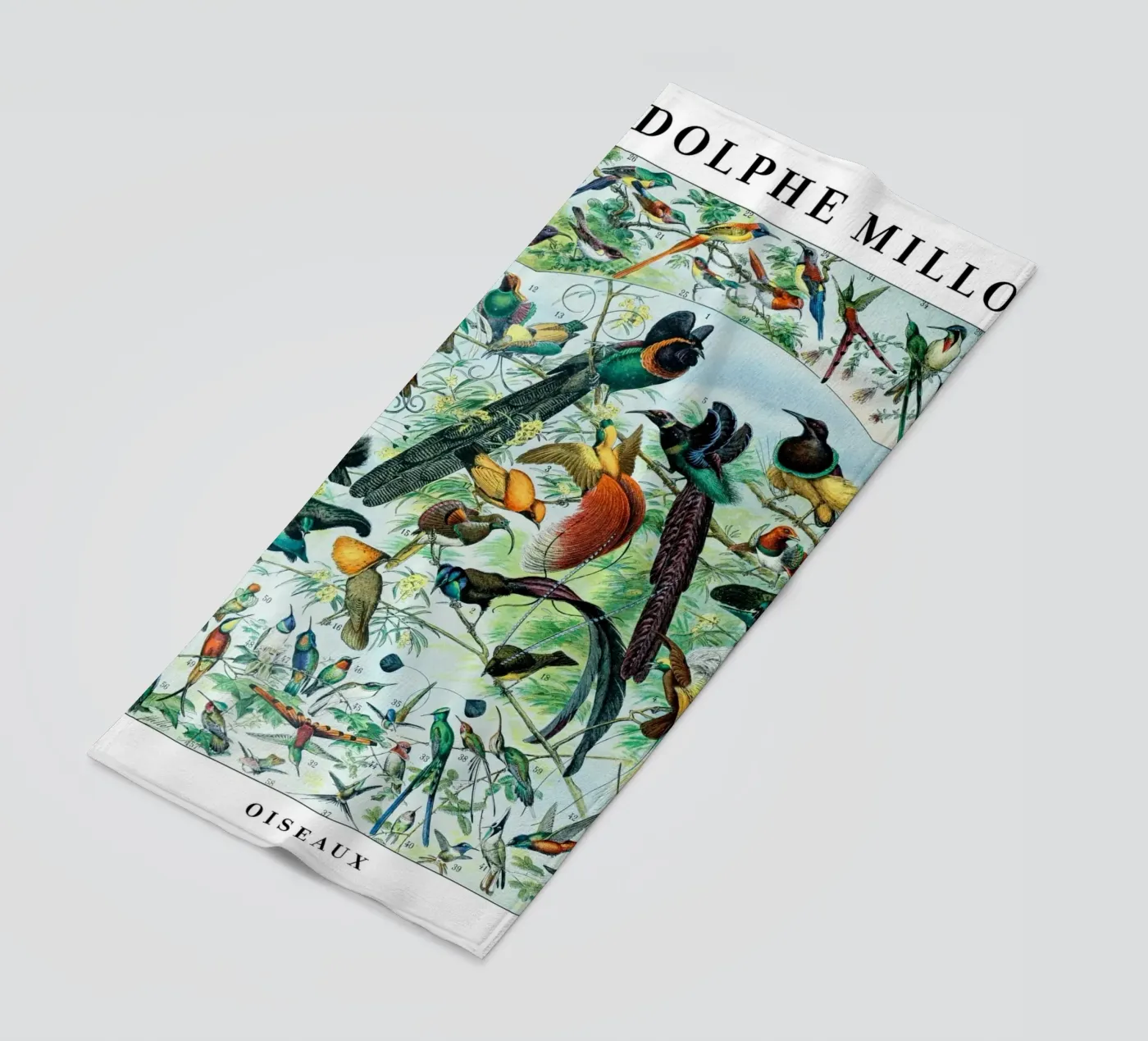 Birds telo mare da Rob Lewis