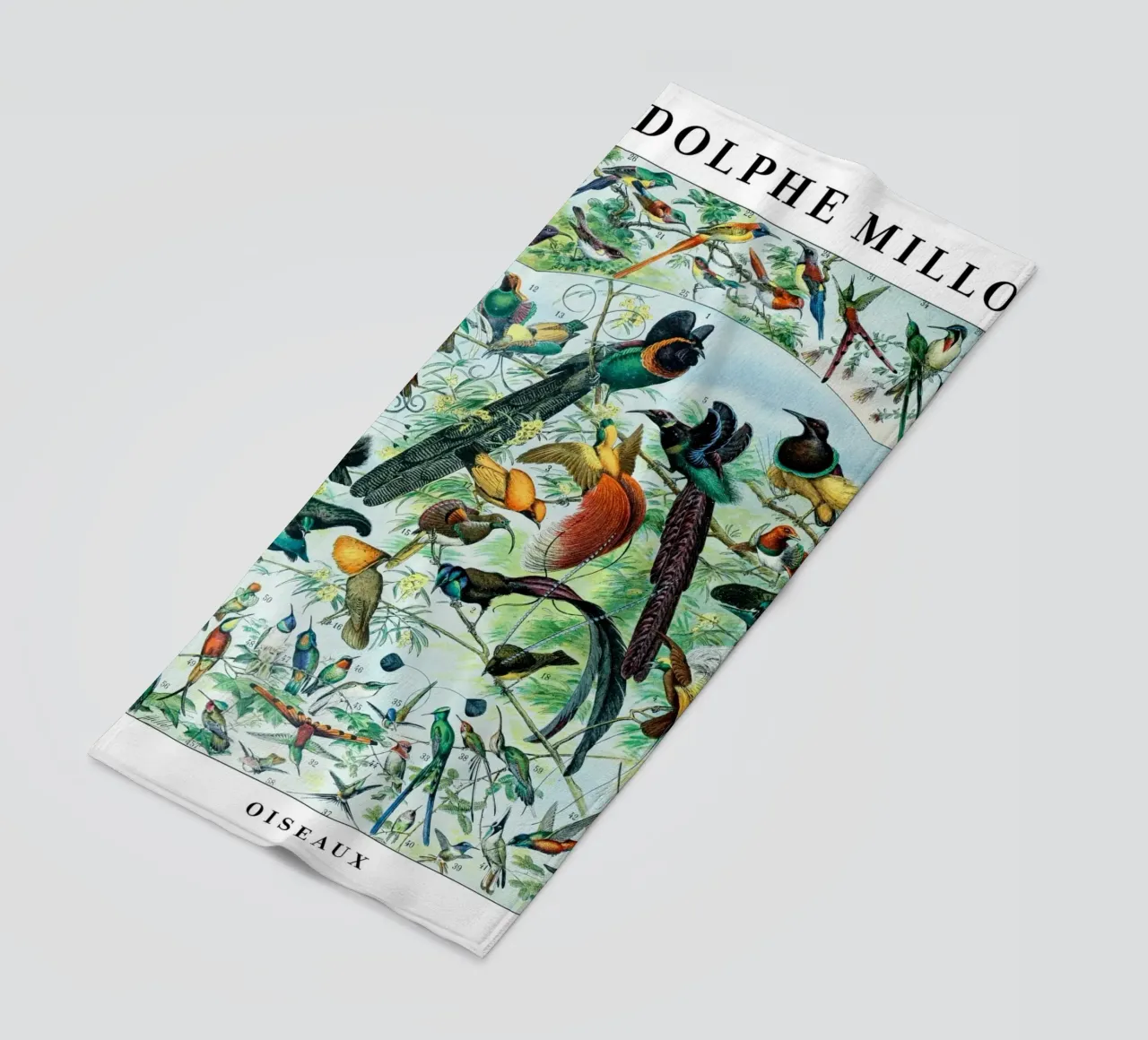 Uccelli telo mare da Rob Lewis