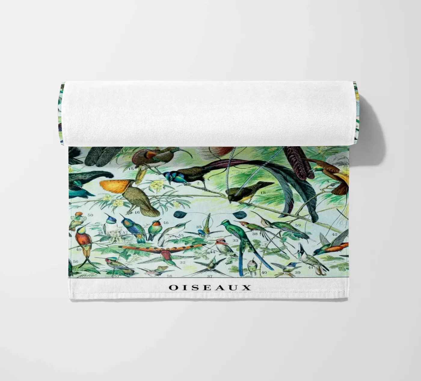 Birds telo mare da Rob Lewis