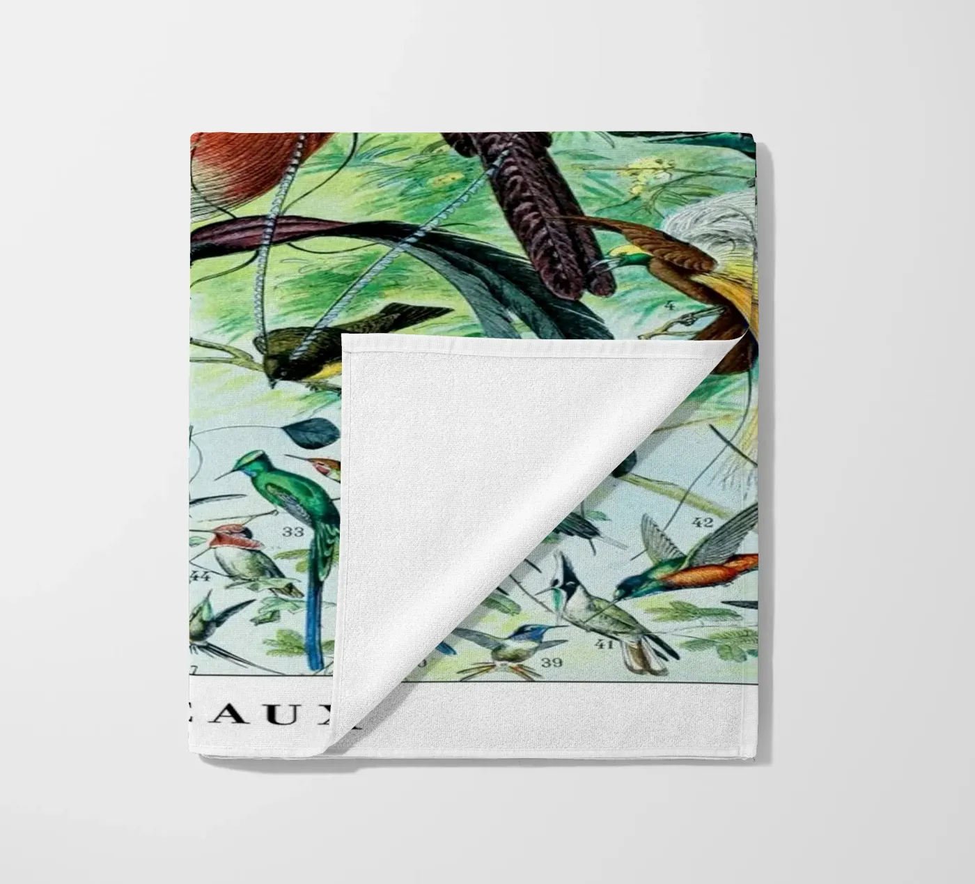 Birds telo mare da Rob Lewis