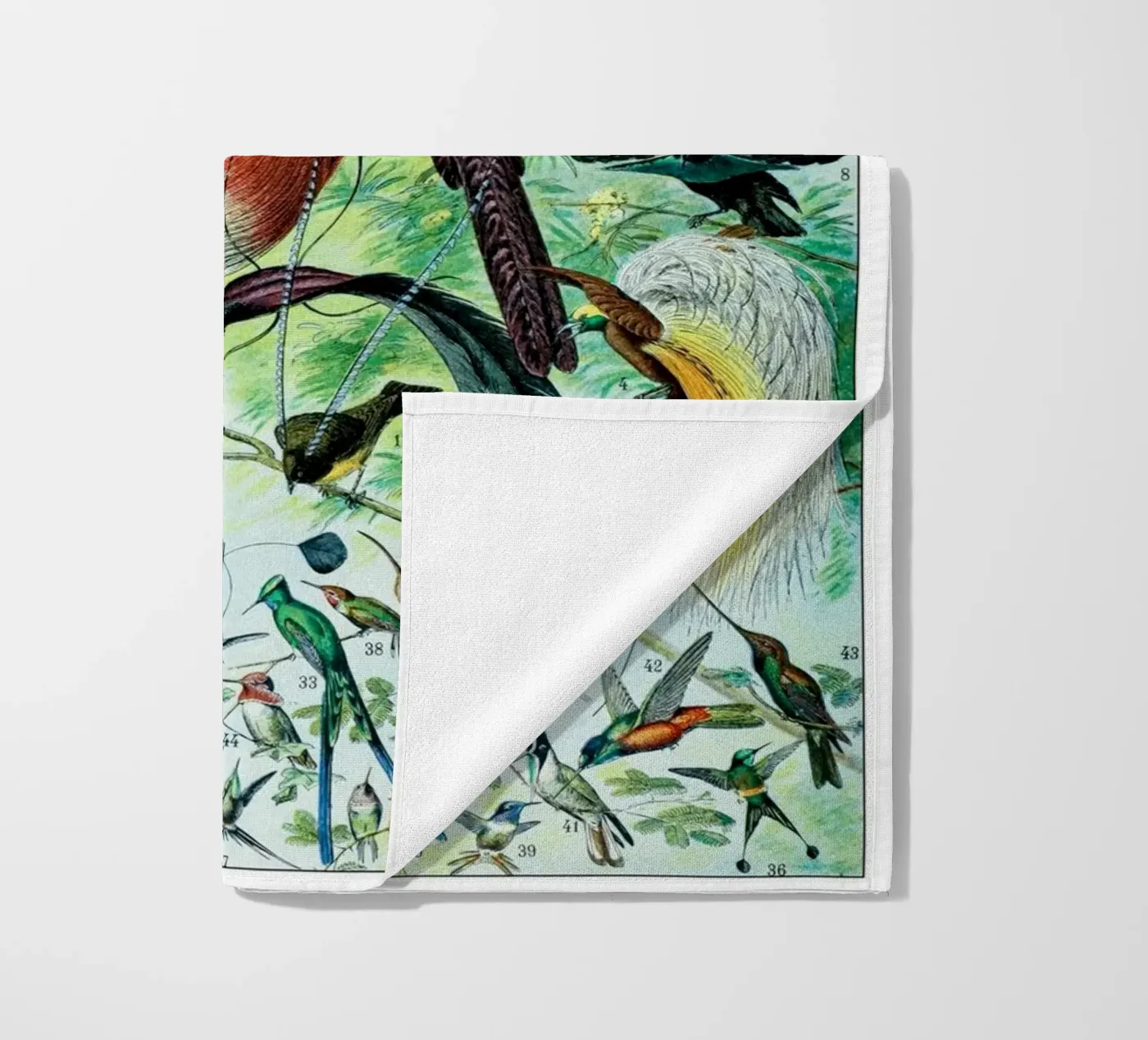 Birds telo mare da Rob Lewis