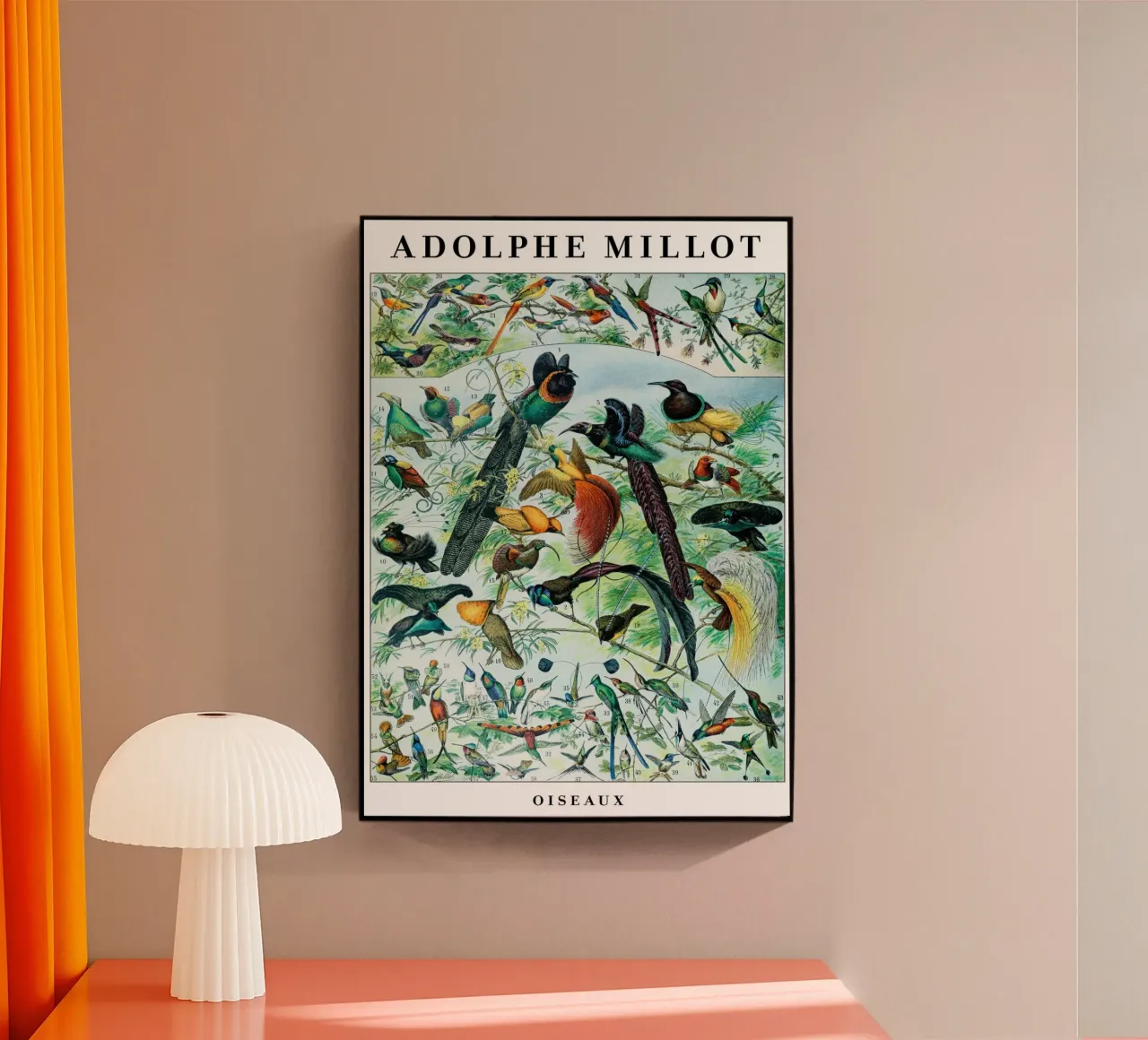 Uccelli plexiglass da Rob Lewis