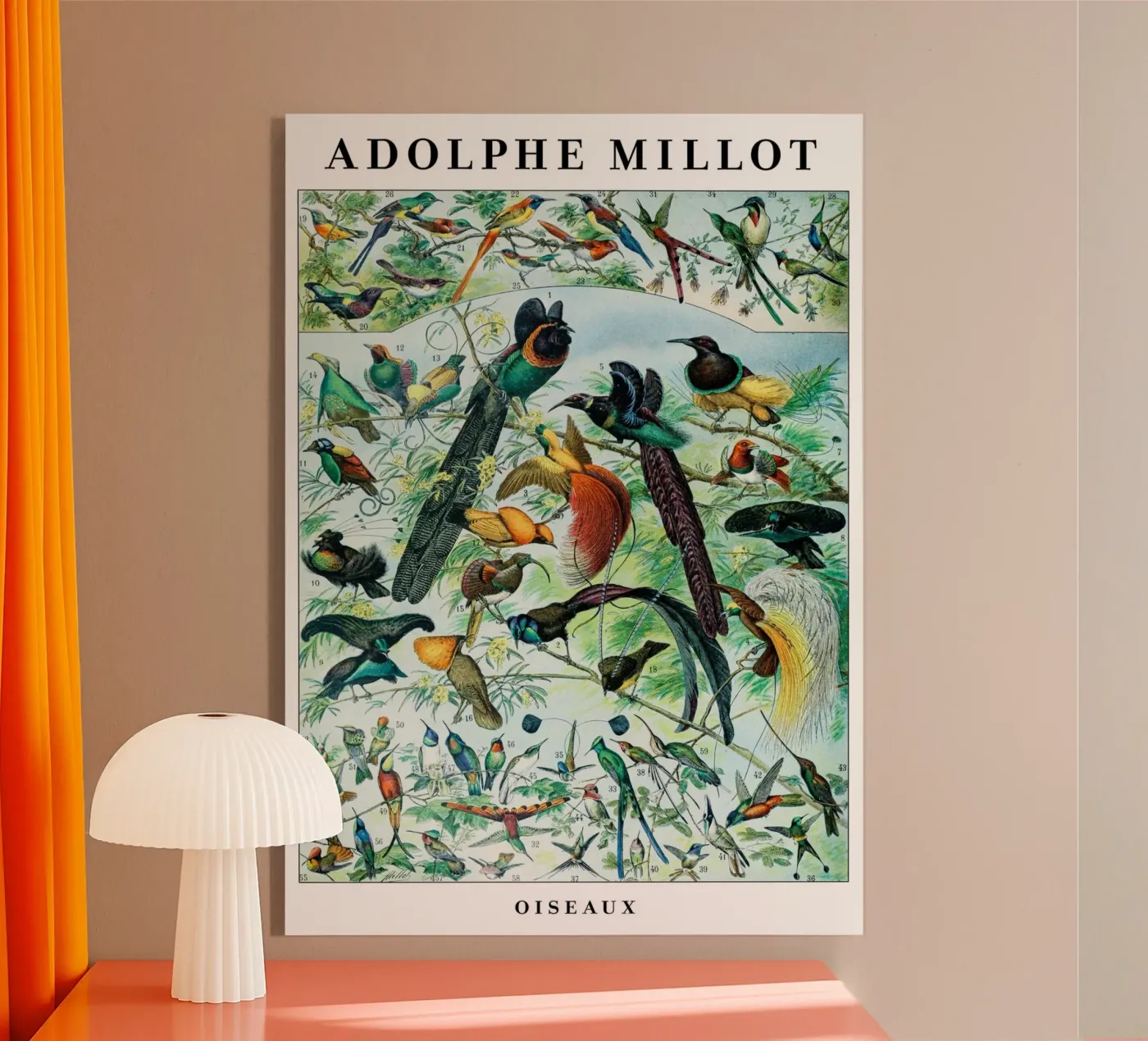 Birds plexiglas de Rob Lewis