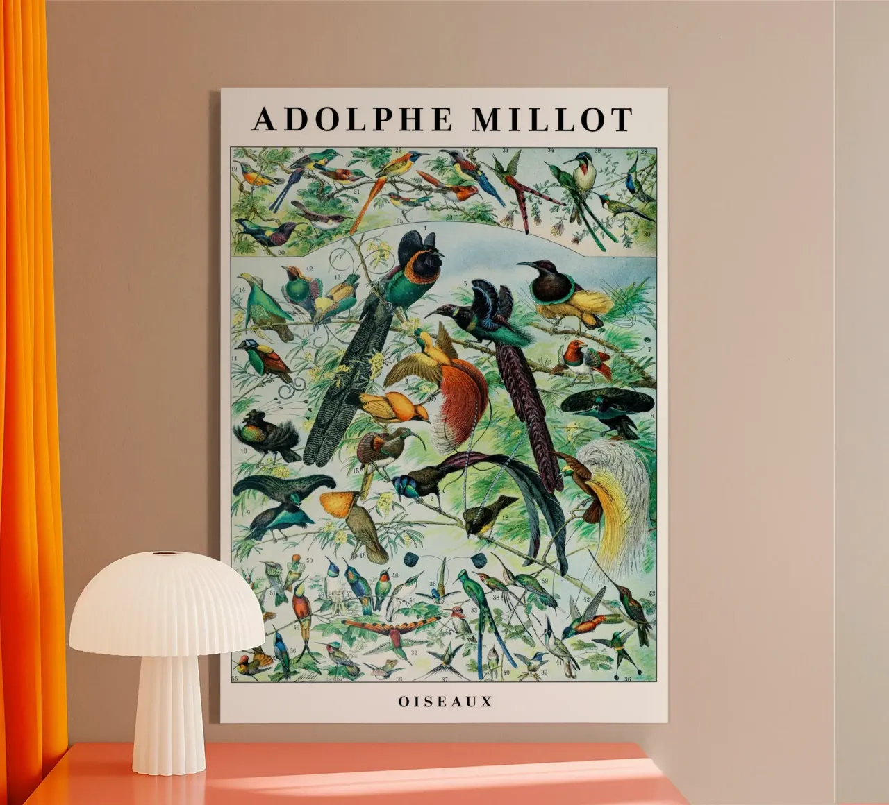 Birds acrylic glass by Rob Lewis