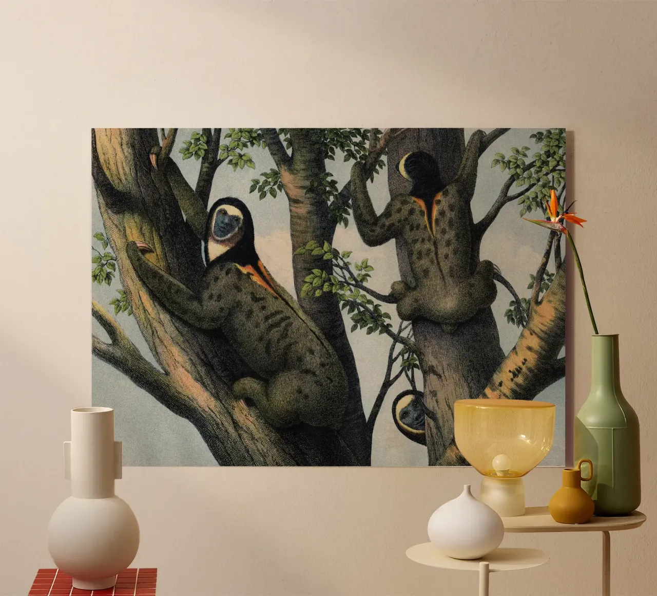 Vintage Kolb 8 Tafel 47 Faultier plexiglass da Vintage Print Collection