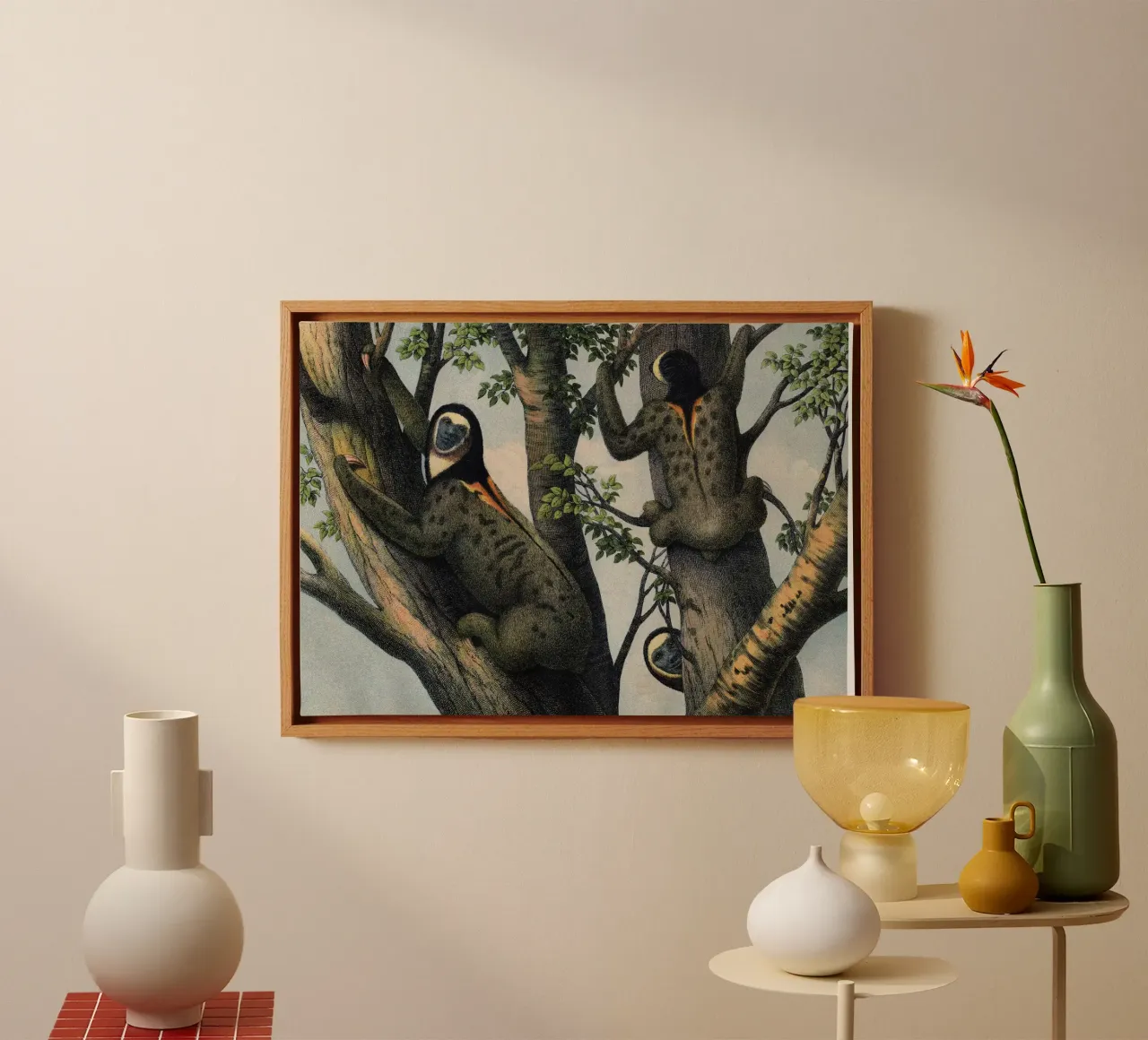 Vintage Kolb 8 Tafel 47 Faultier canvas met Baklijst van Vintage Print Collection