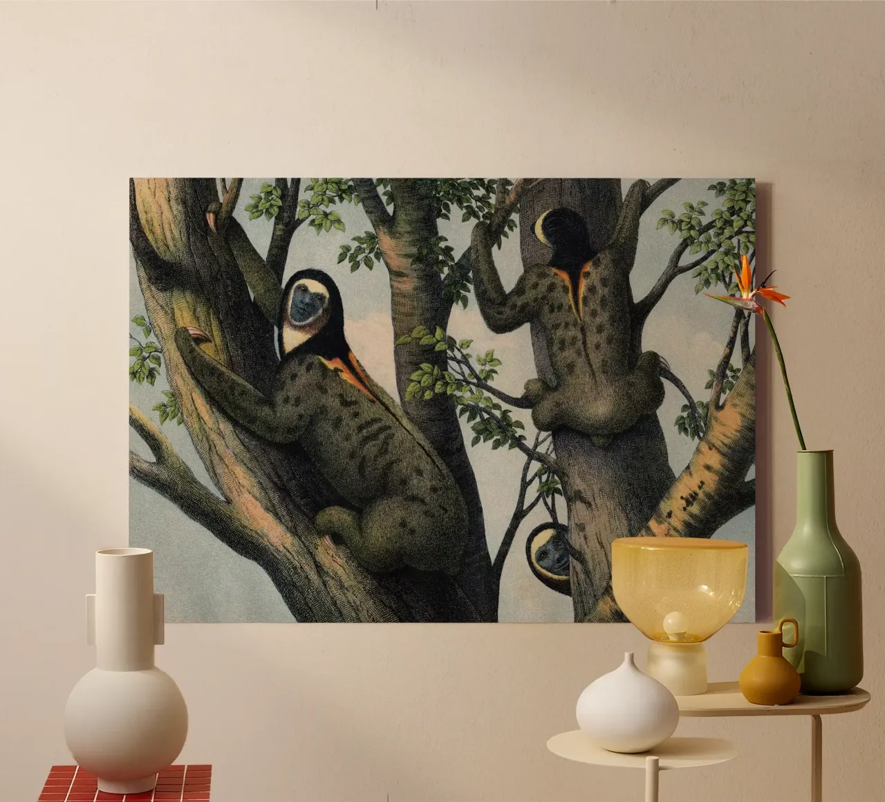 Vintage Kolb 8 Tafel 47 Faultier canvas met Baklijst van Vintage Print Collection