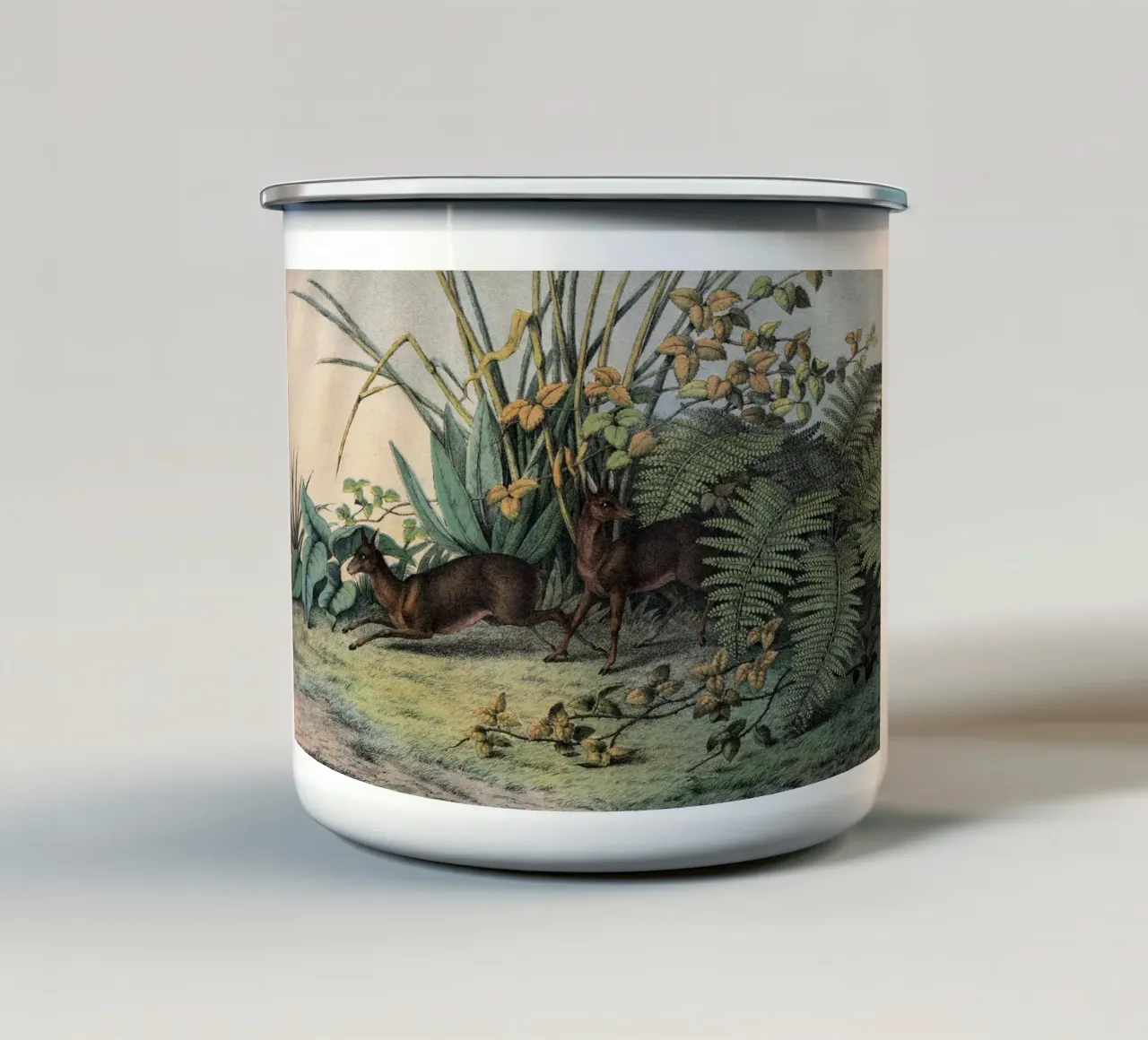 Vintage Kolb 9 Tafel 16 Moschusthier tazza in smalto da Vintage Print Collection