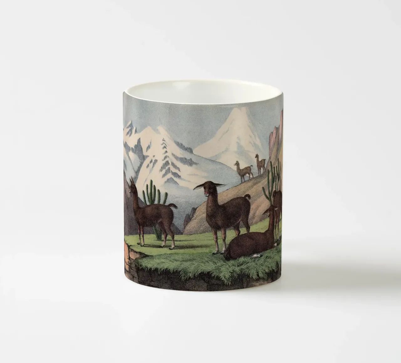 Vintage Kolb 9 Tafel 46 Lama tazza in ceramica da Vintage Print Collection