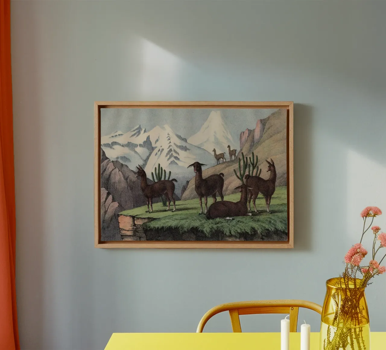Vintage Kolb 9 Tafel 46 Lama tela con Cornice a cassetta da Vintage Print Collection