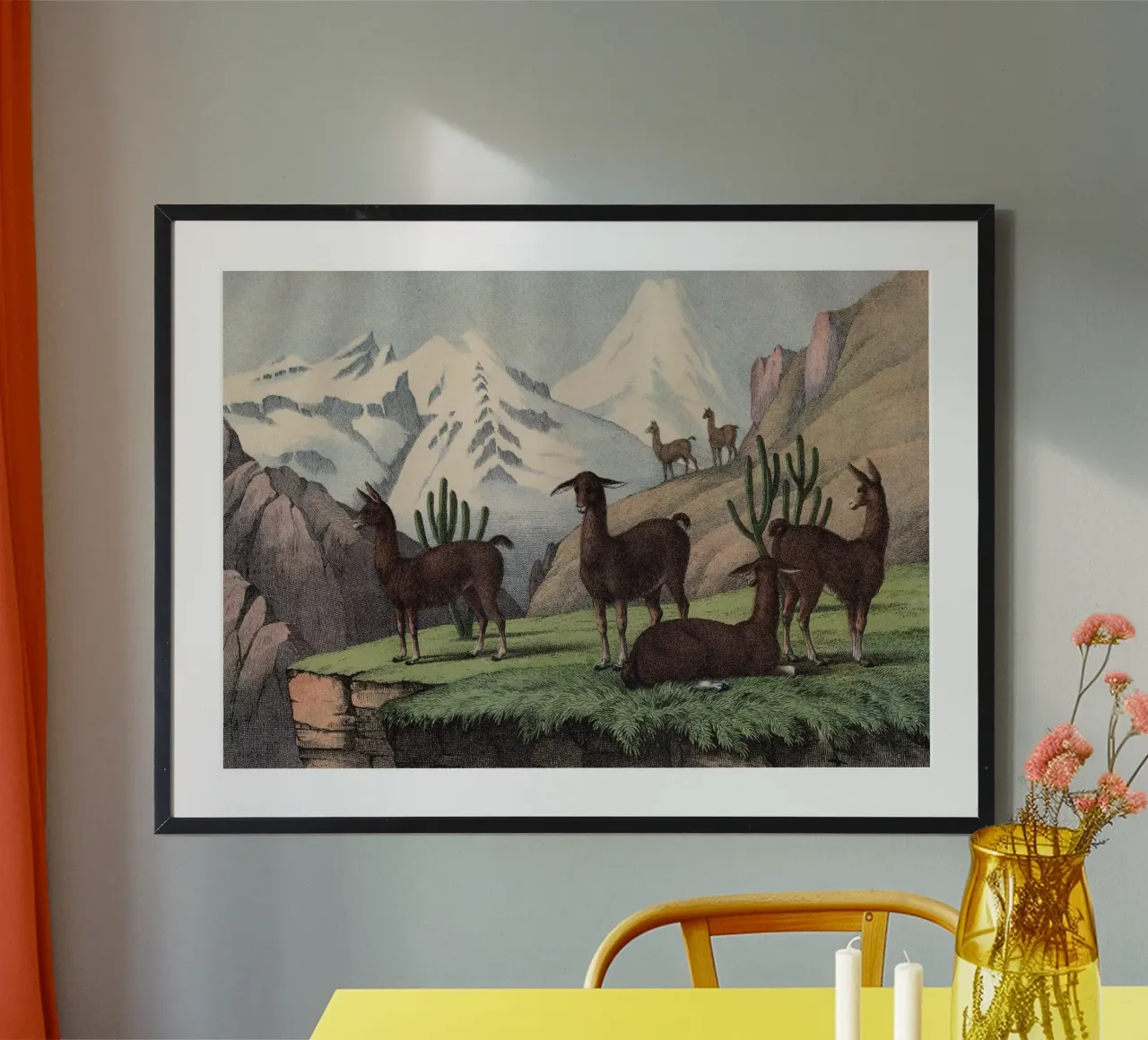 Vintage Kolb 9 Tafel 46 Lama poster con telaio in legno da Vintage Print Collection