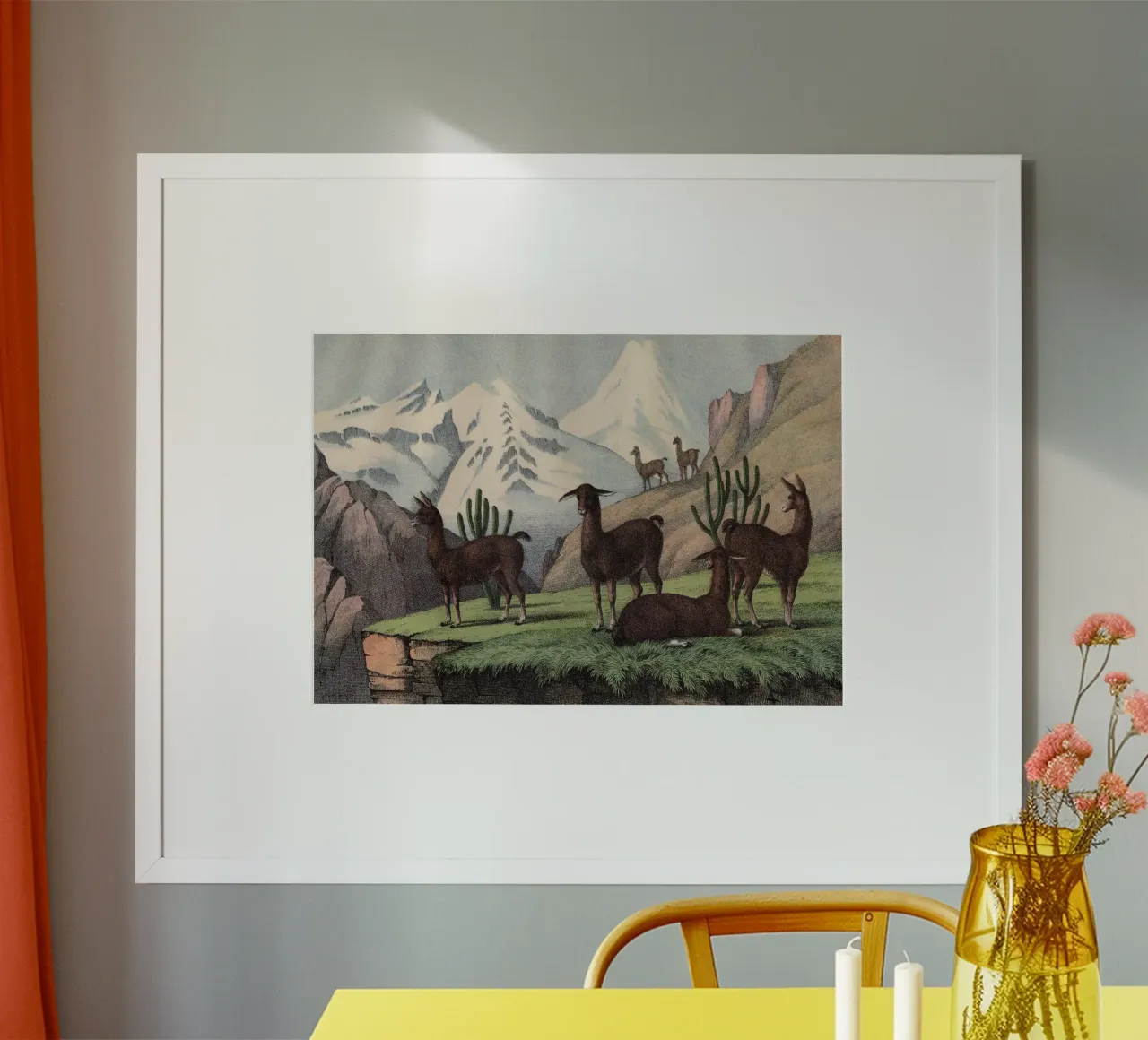 Vintage Kolb 9 Tafel 46 Lama poster con telaio in legno da Vintage Print Collection