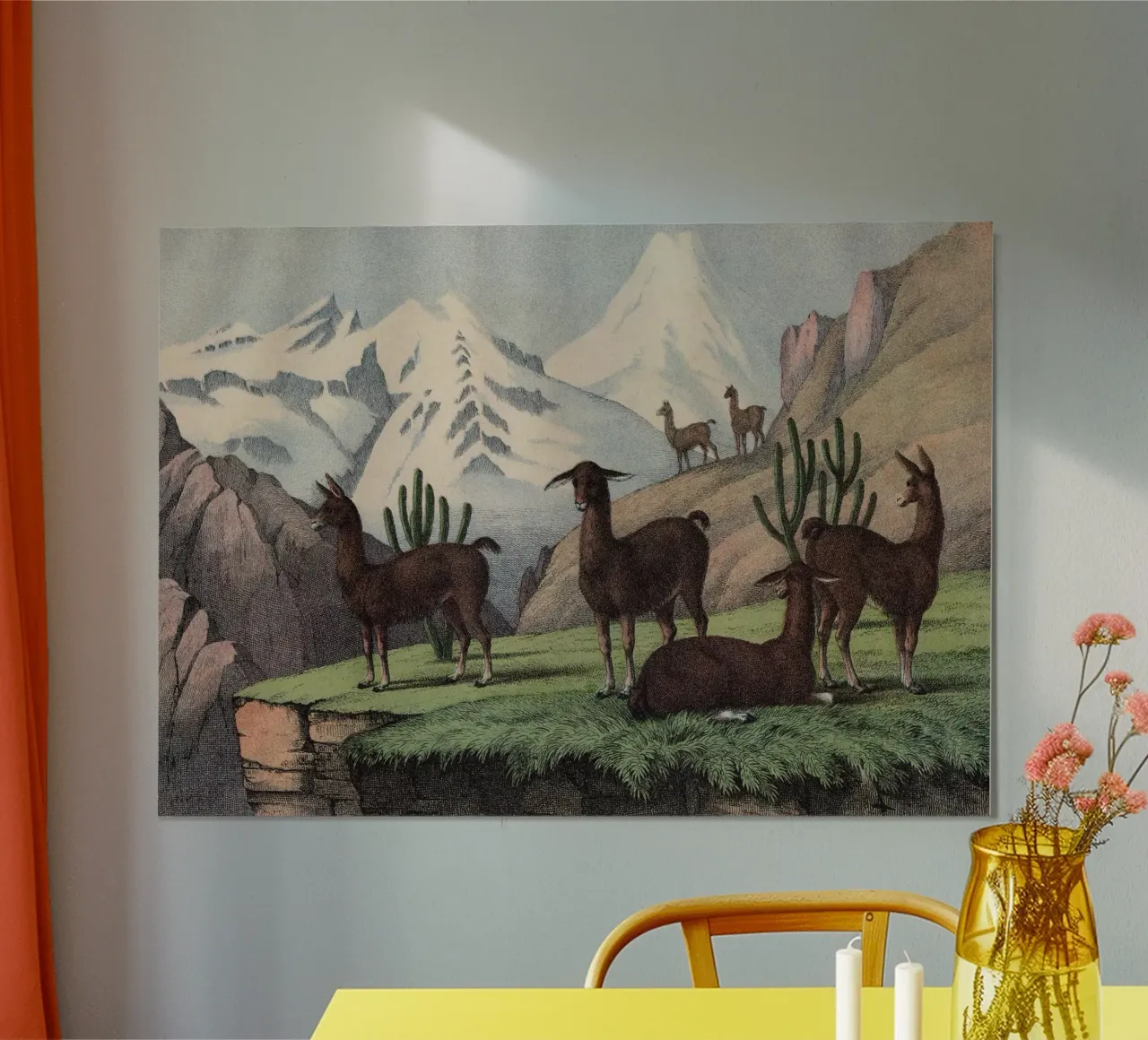 Vintage Kolb 9 Tafel 46 Lama poster con telaio in legno da Vintage Print Collection
