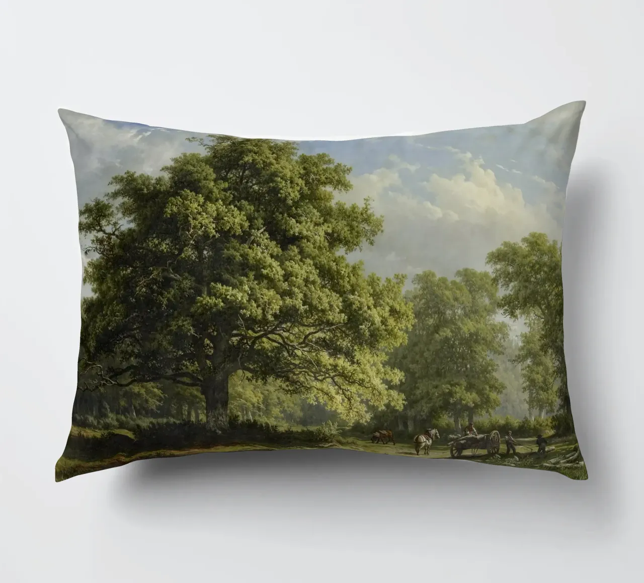 View in the Bentheim Forest cuscino da vintageshop