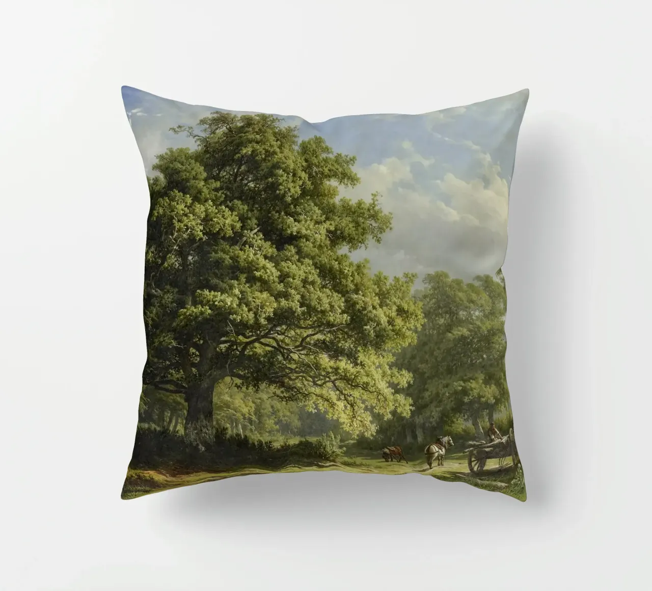 View in the Bentheim Forest cuscino da vintageshop
