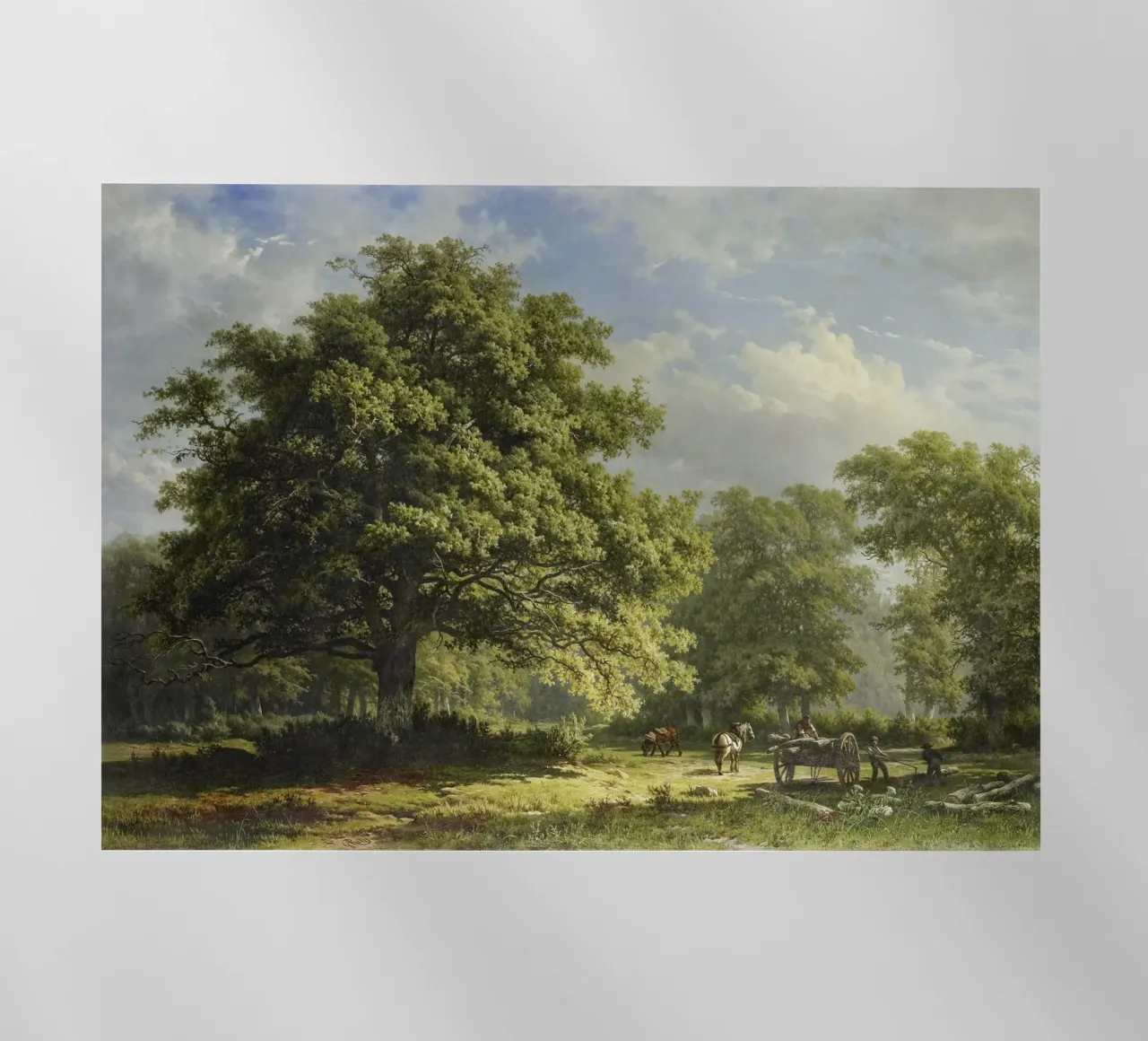 View in the Bentheim Forest pellicola backlit da vintageshop